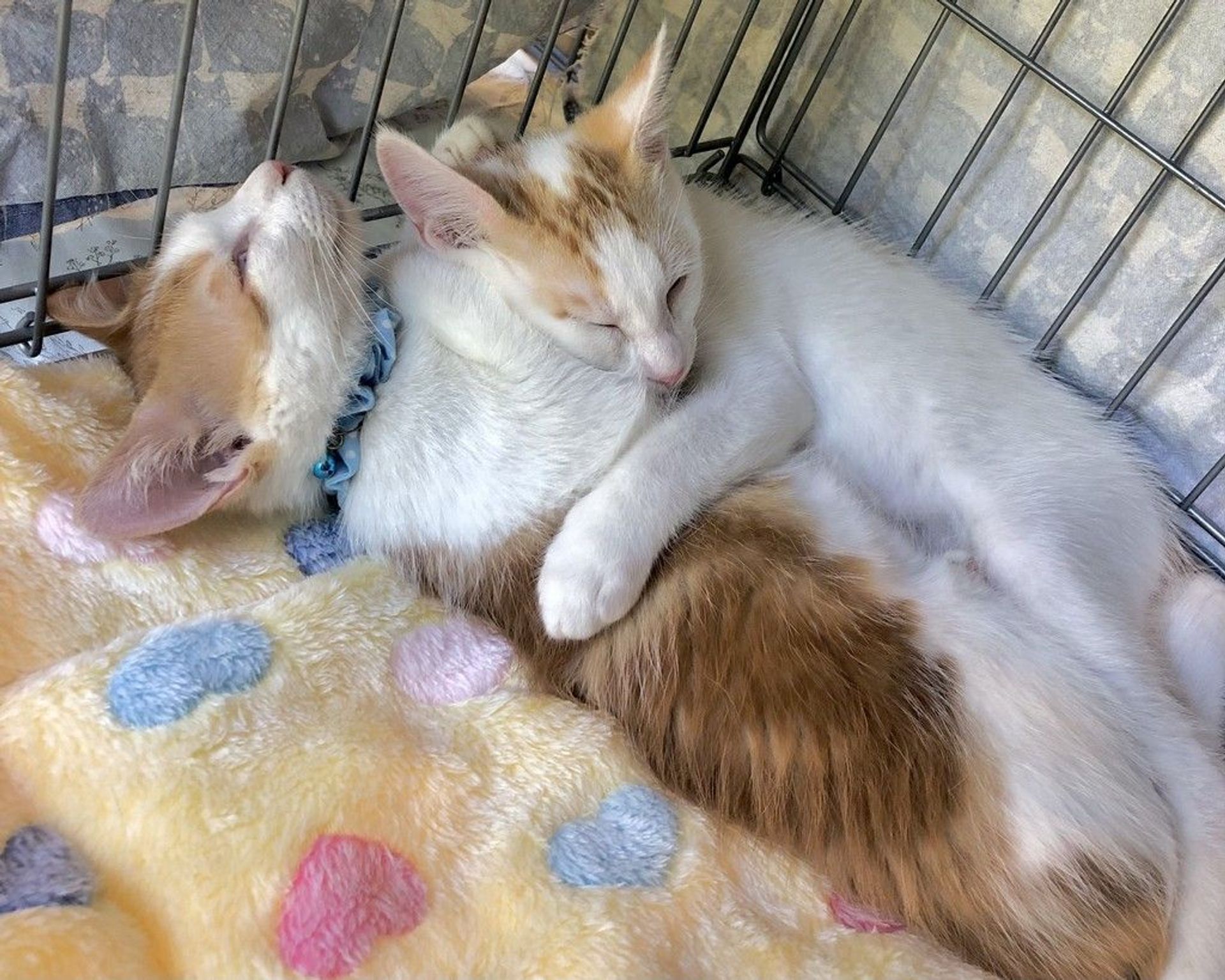 thumbnail-4
