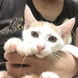 thumb-2
