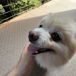 thumb-1