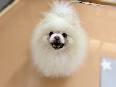 ルーサー