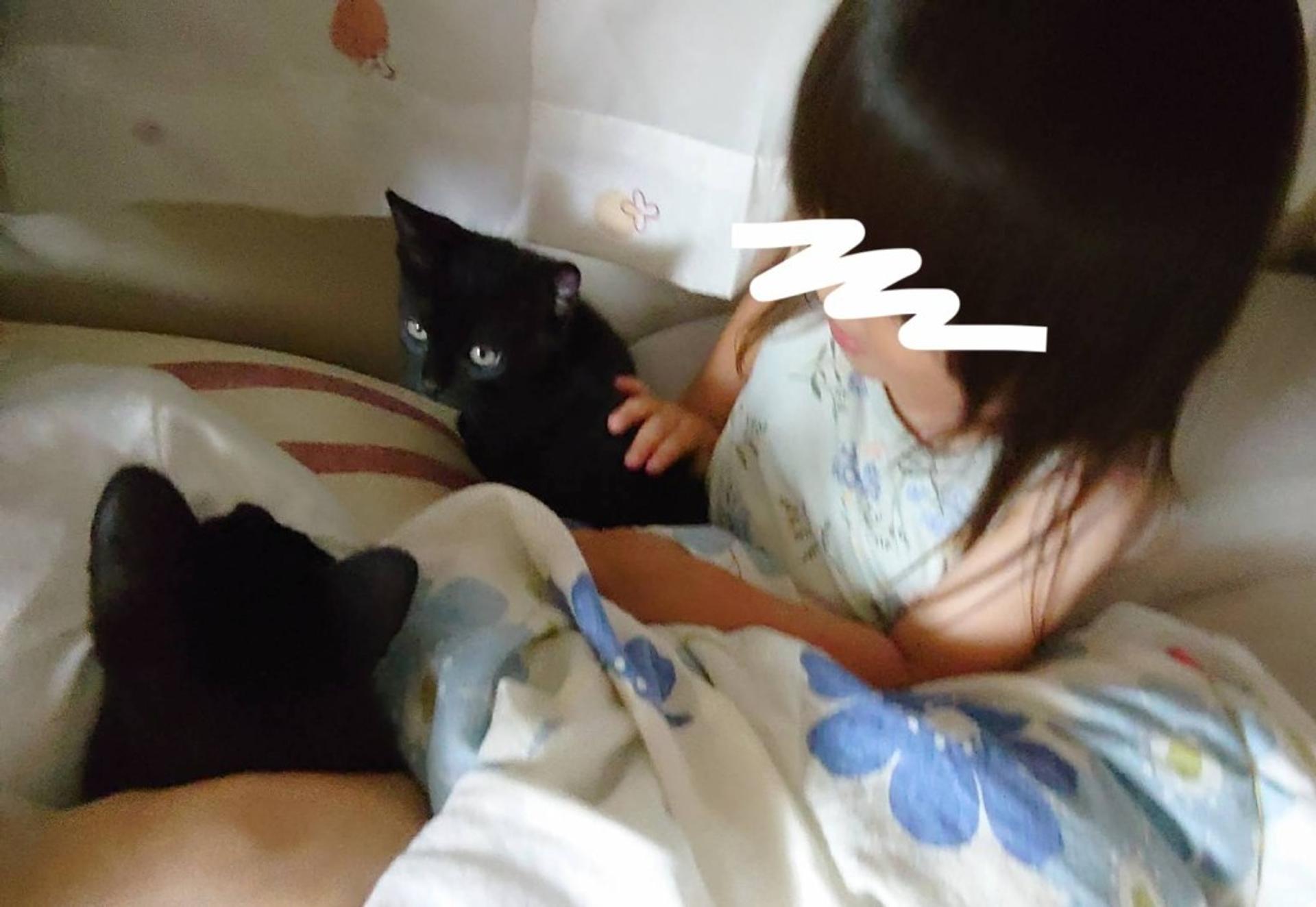 pet-image-4