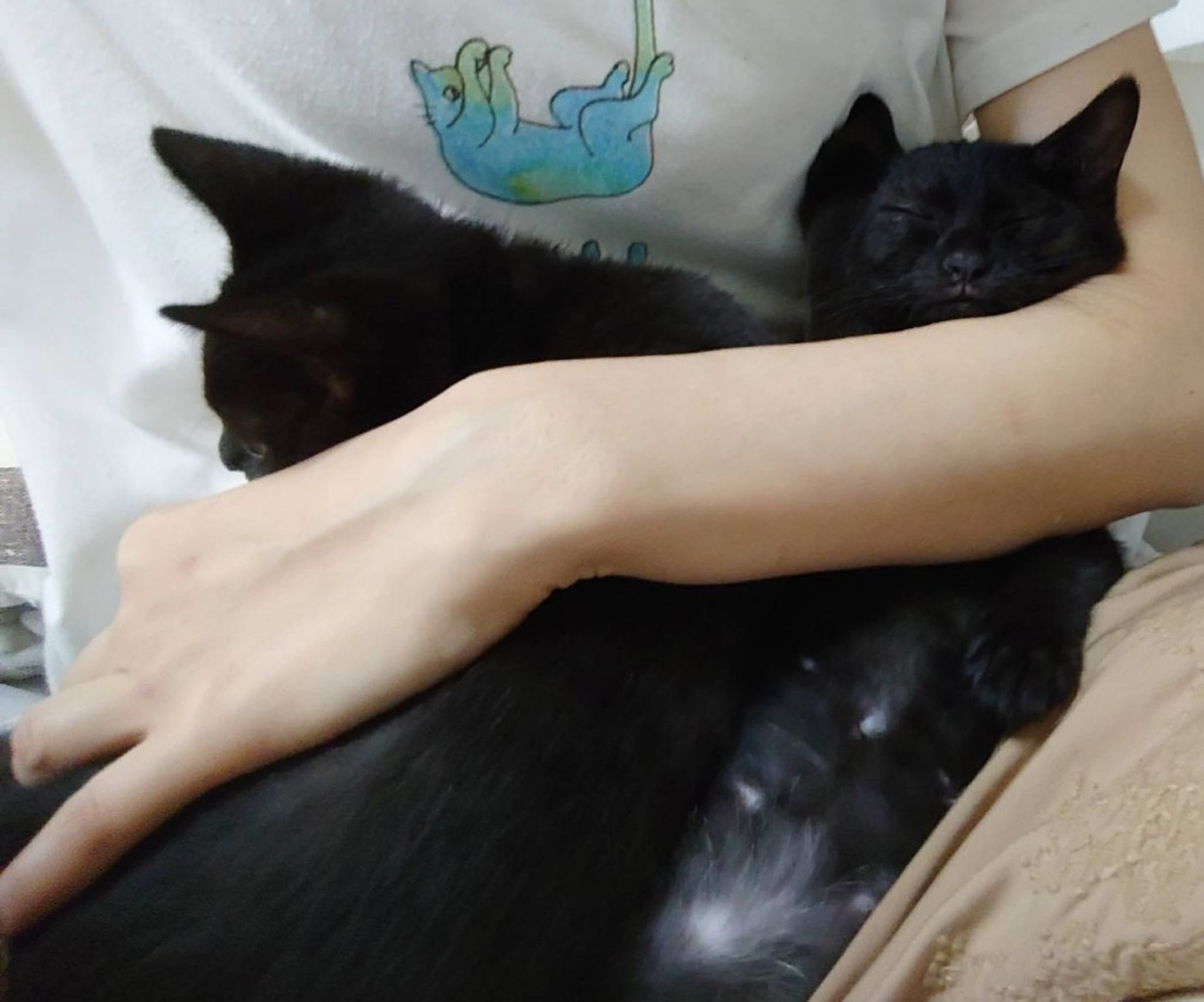 thumbnail-8