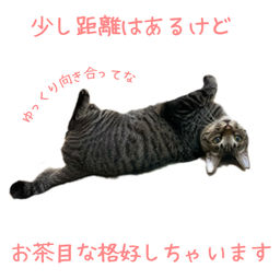 thumb-5
