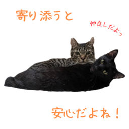 thumb-6