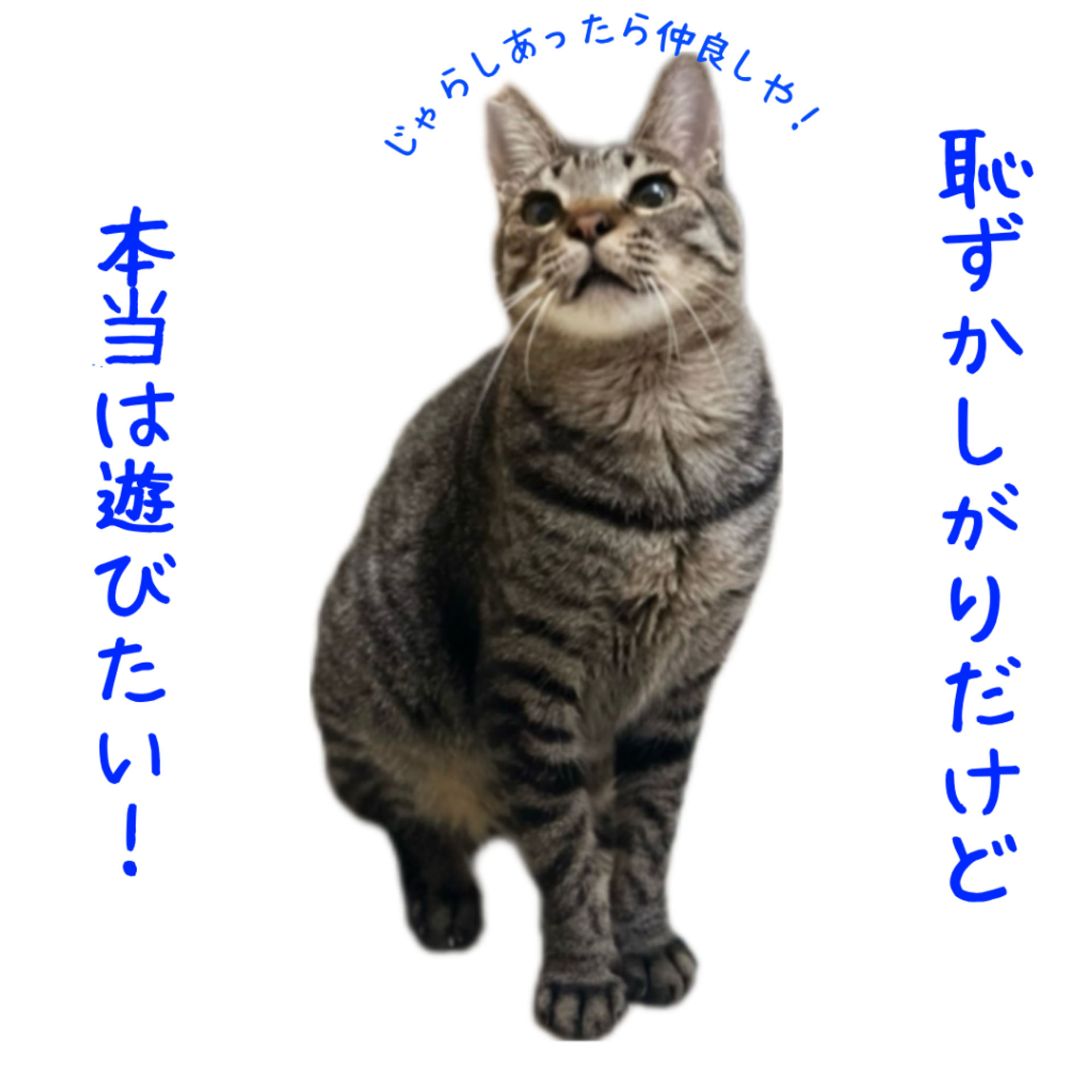 thumbnail-3