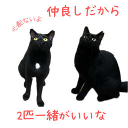 thumb-5