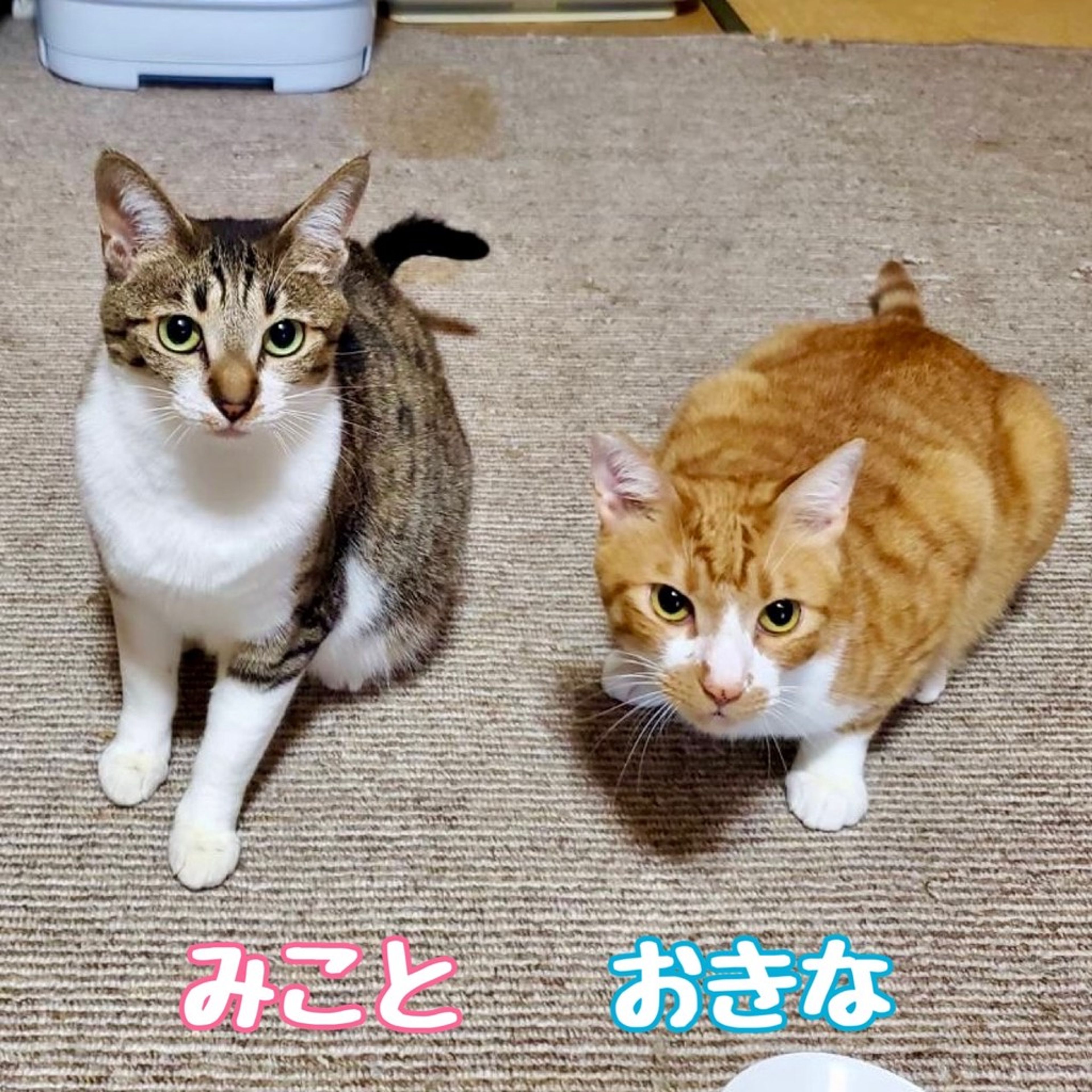 thumbnail-4