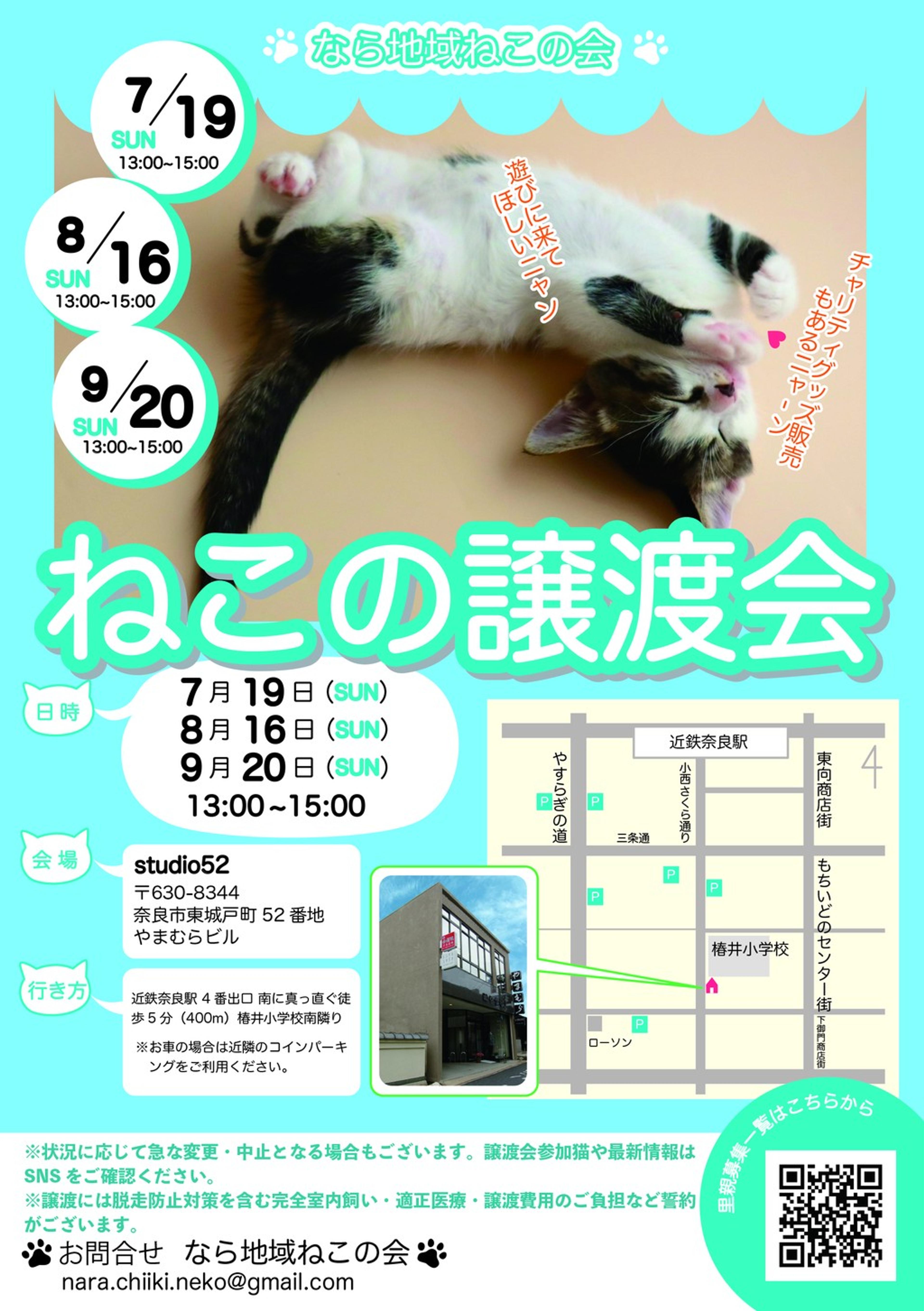 pet-image-6