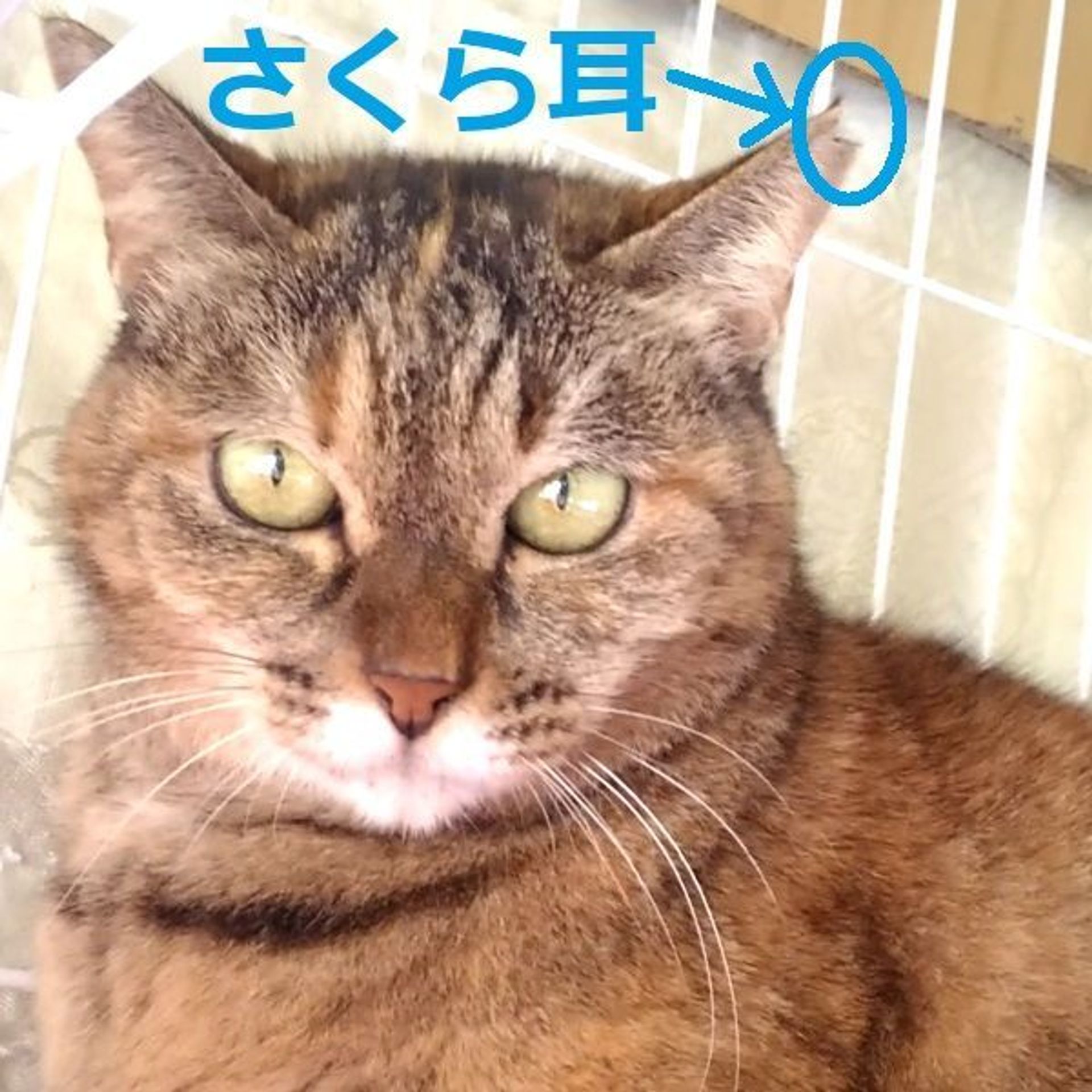 thumbnail-5