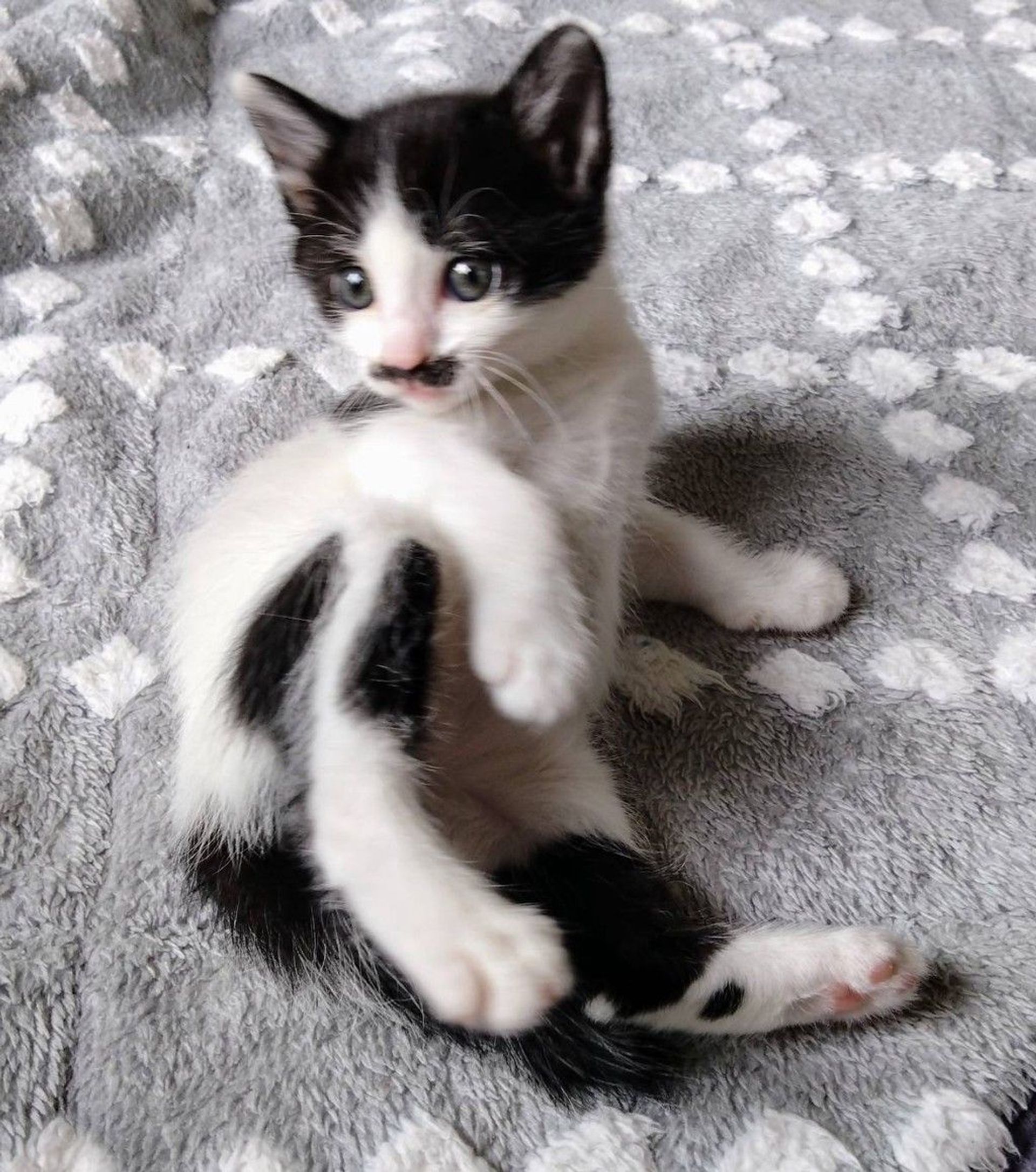 thumbnail-6