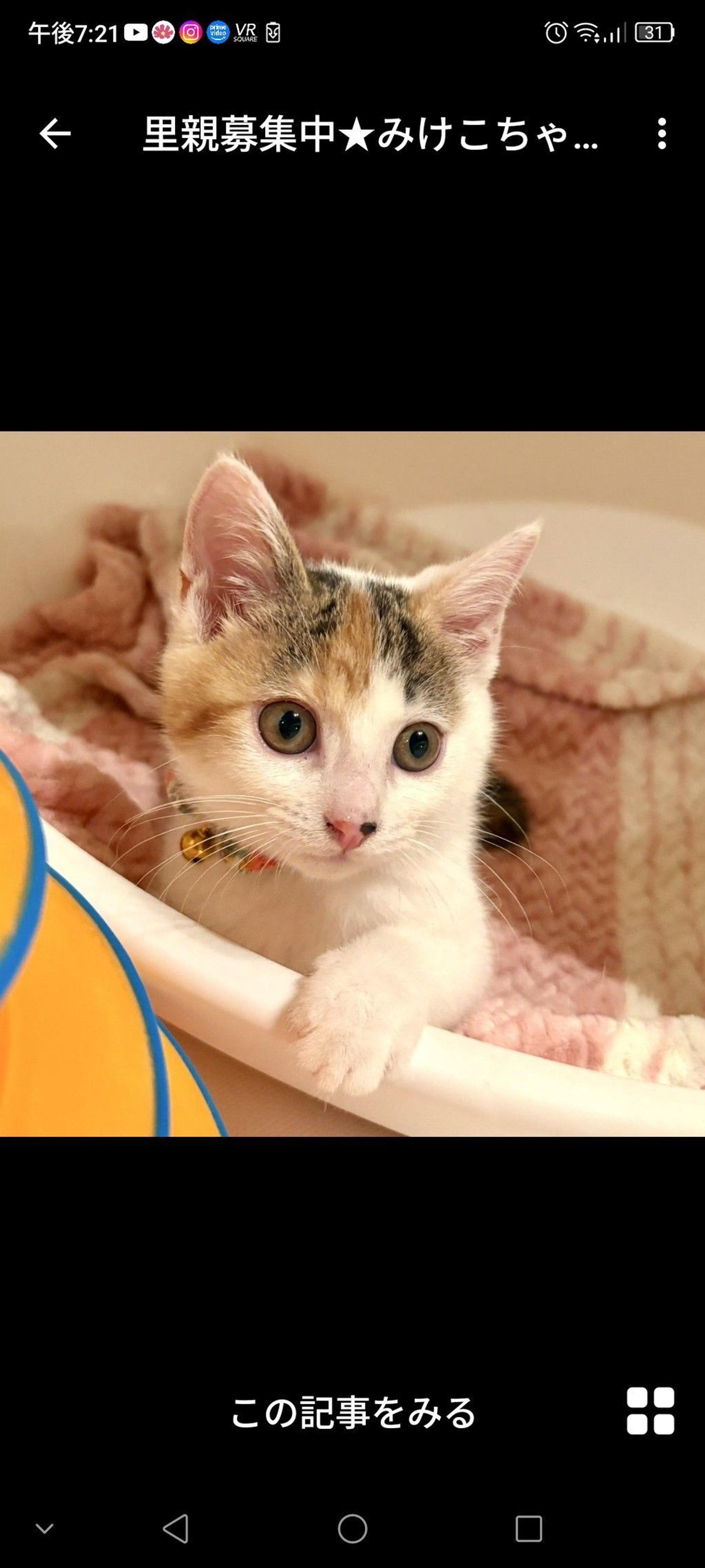pet-image-3