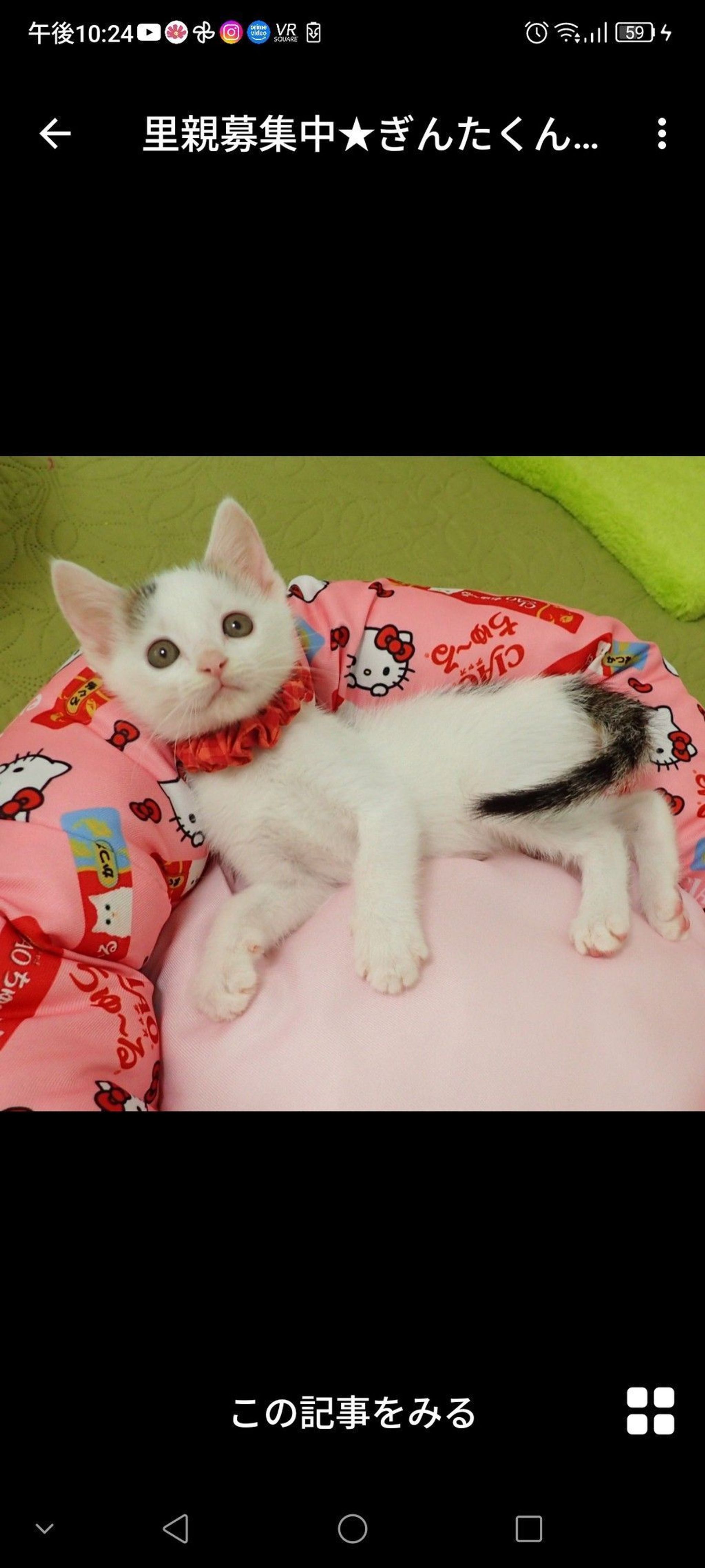 thumbnail-2