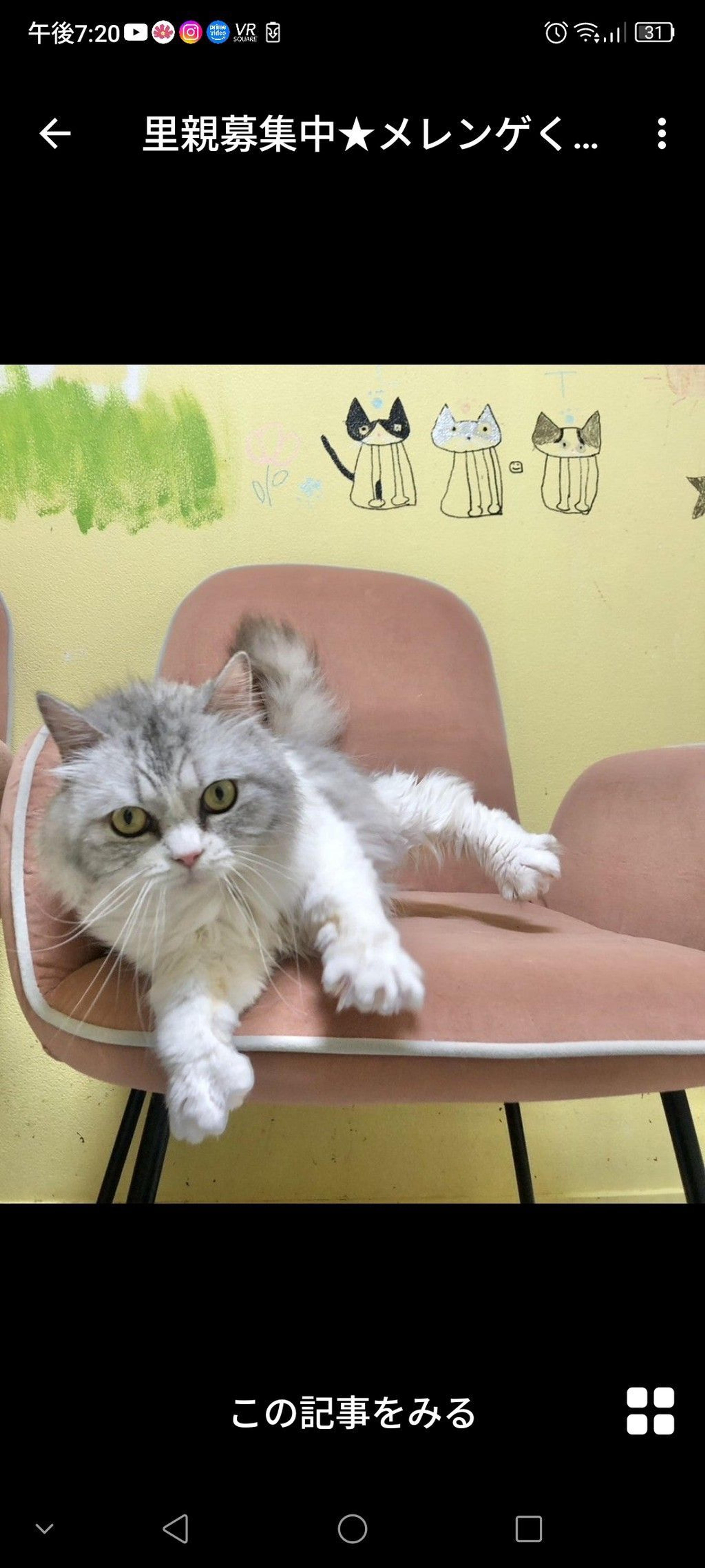 pet-image-2