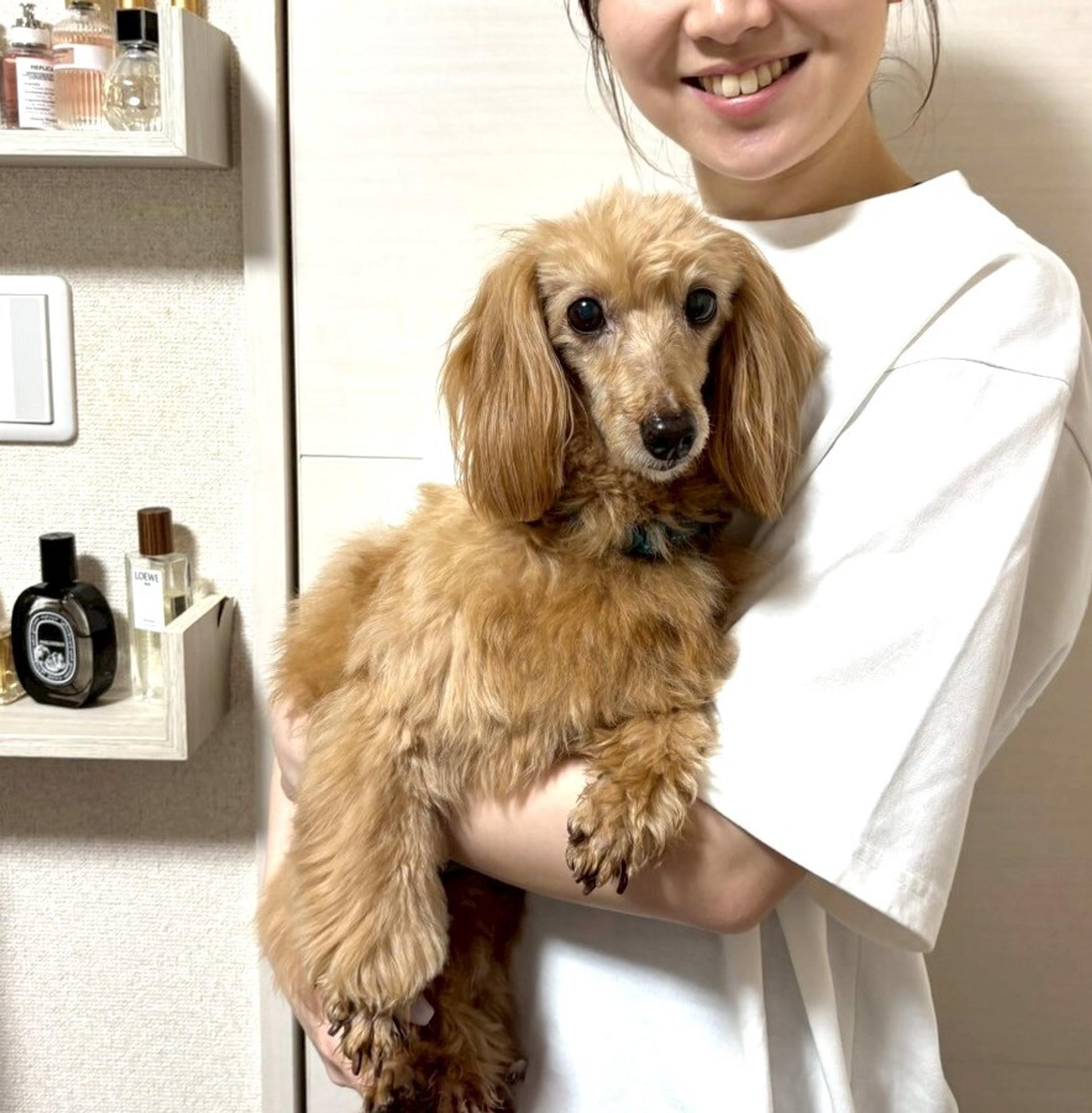 pet-image-2