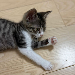 thumb-1