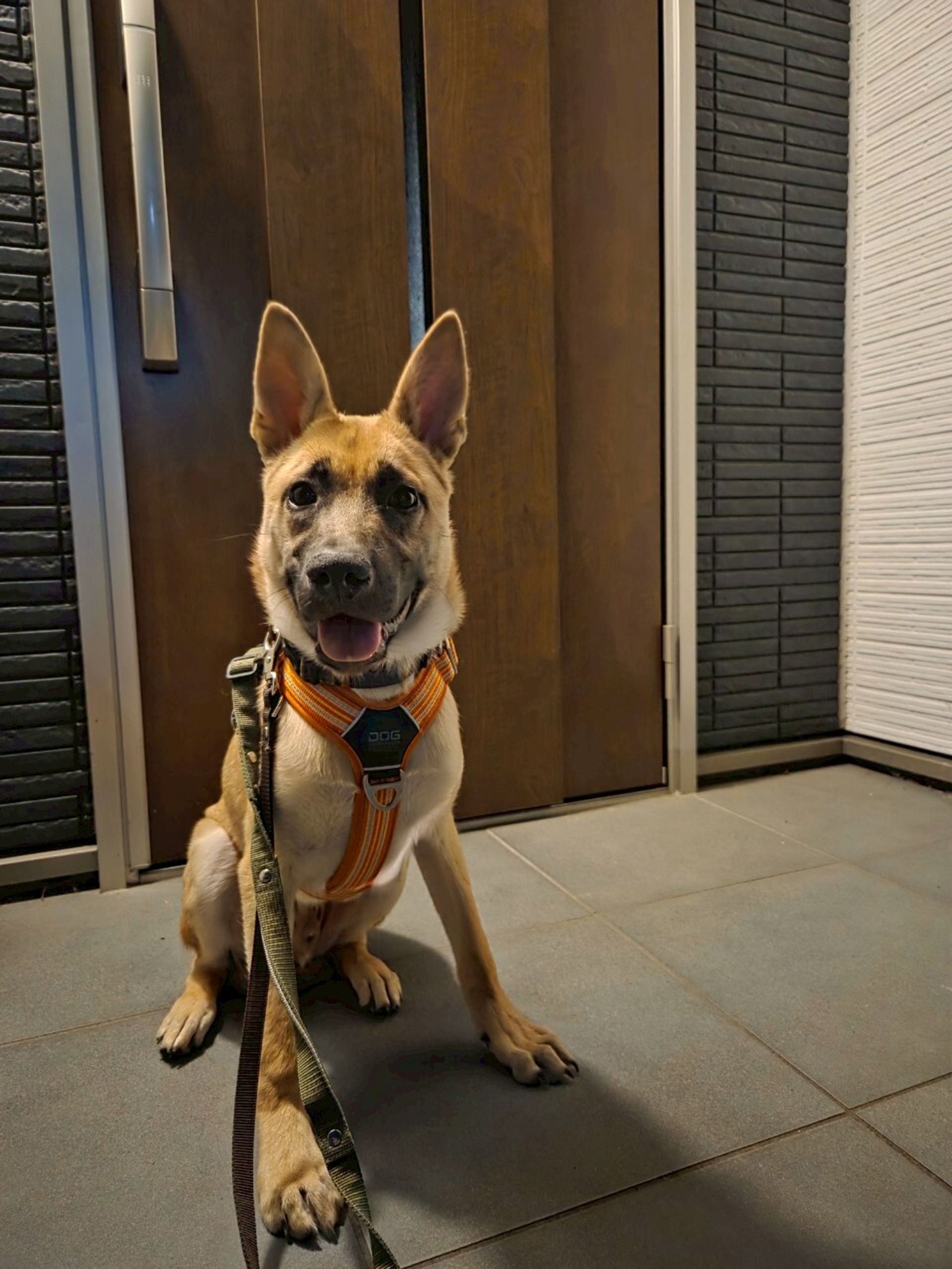 thumbnail-5