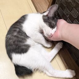 thumb-6