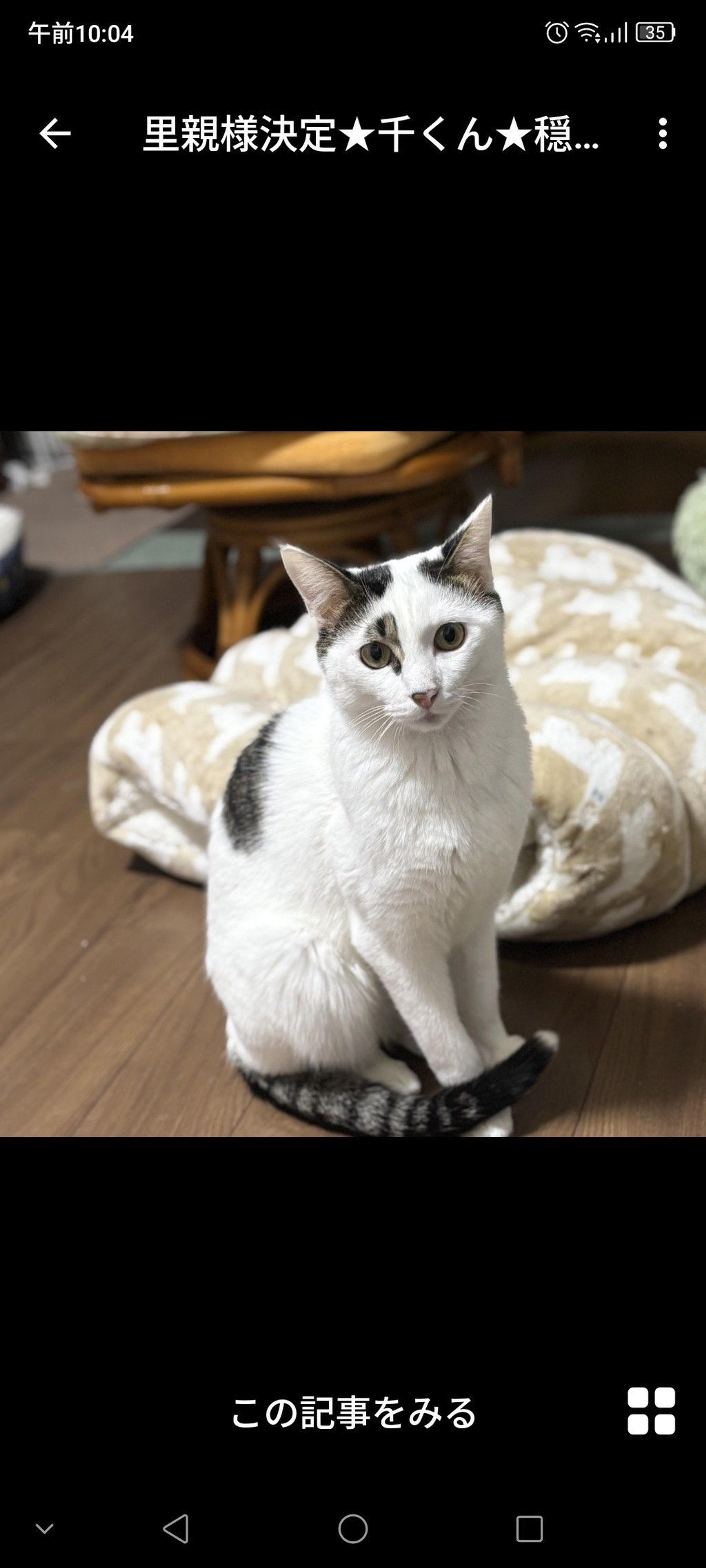 pet-image-2