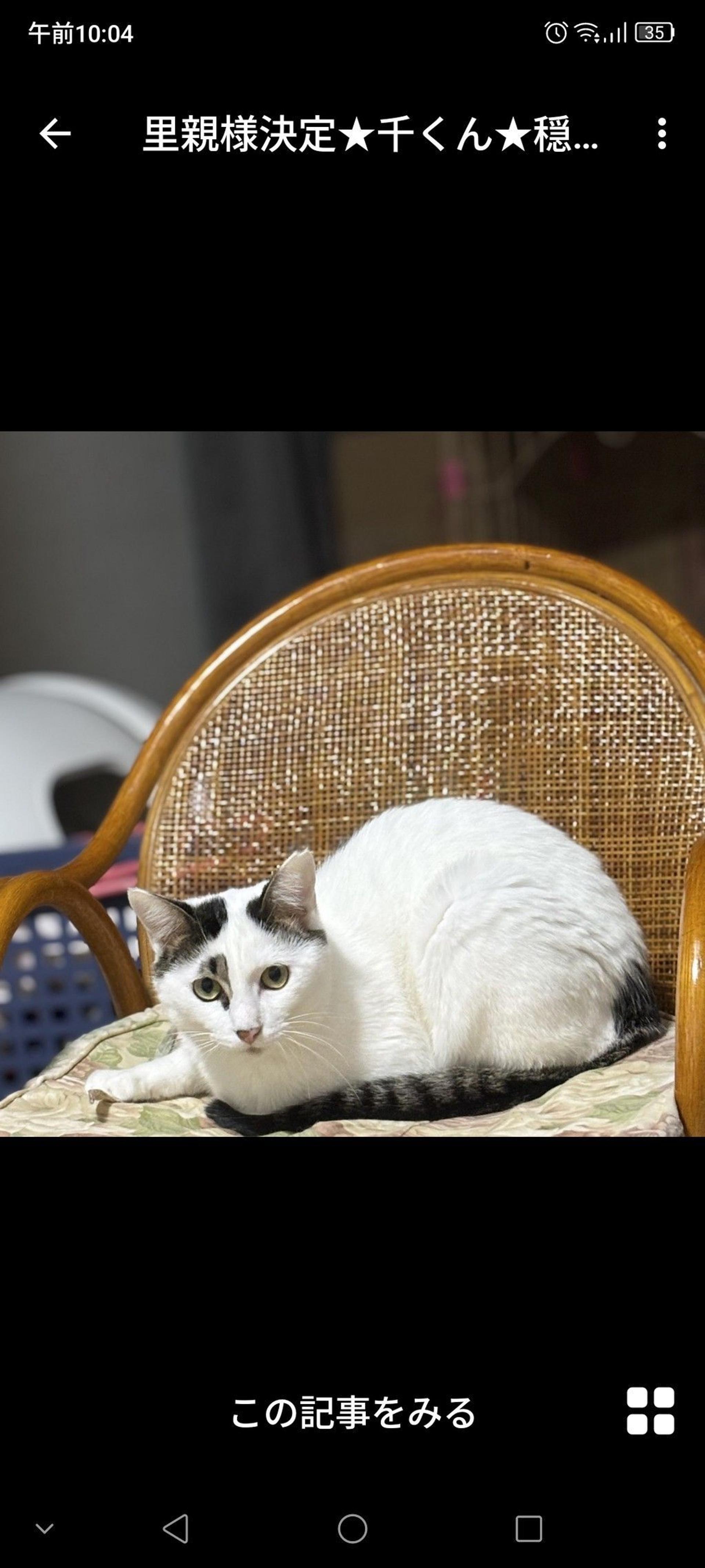 pet-image-3