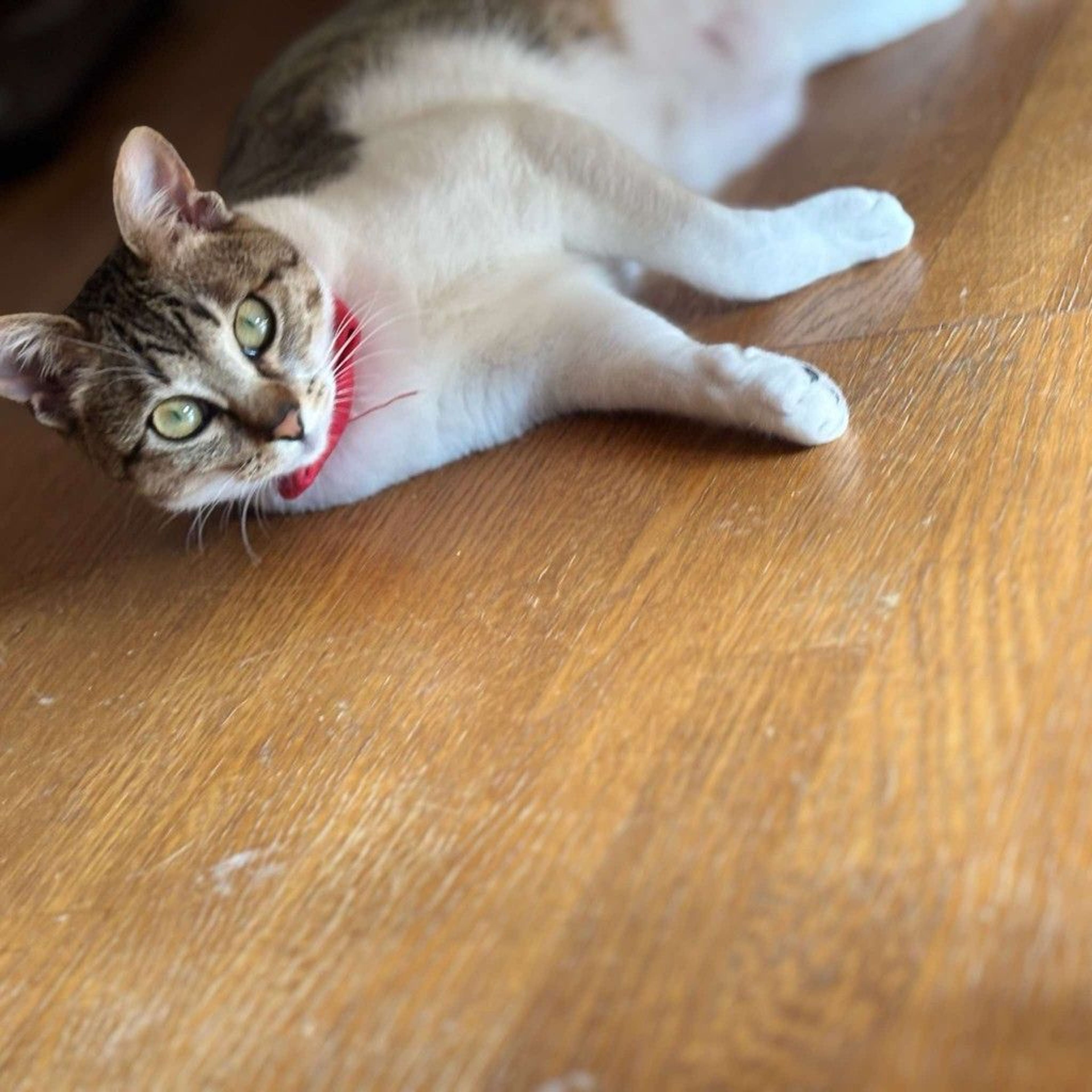 image-8