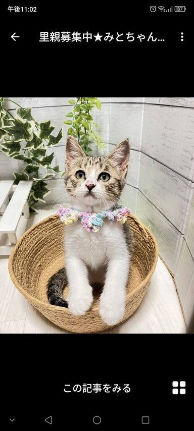 みとちゃん