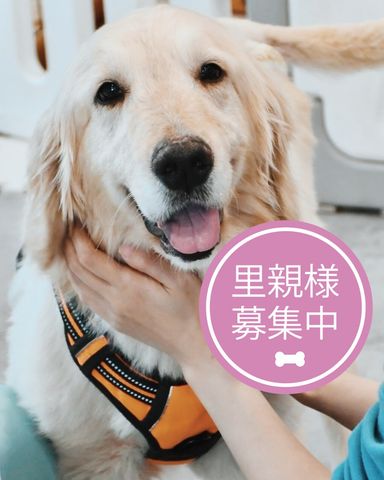 金