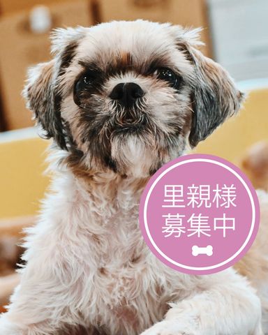 ずん