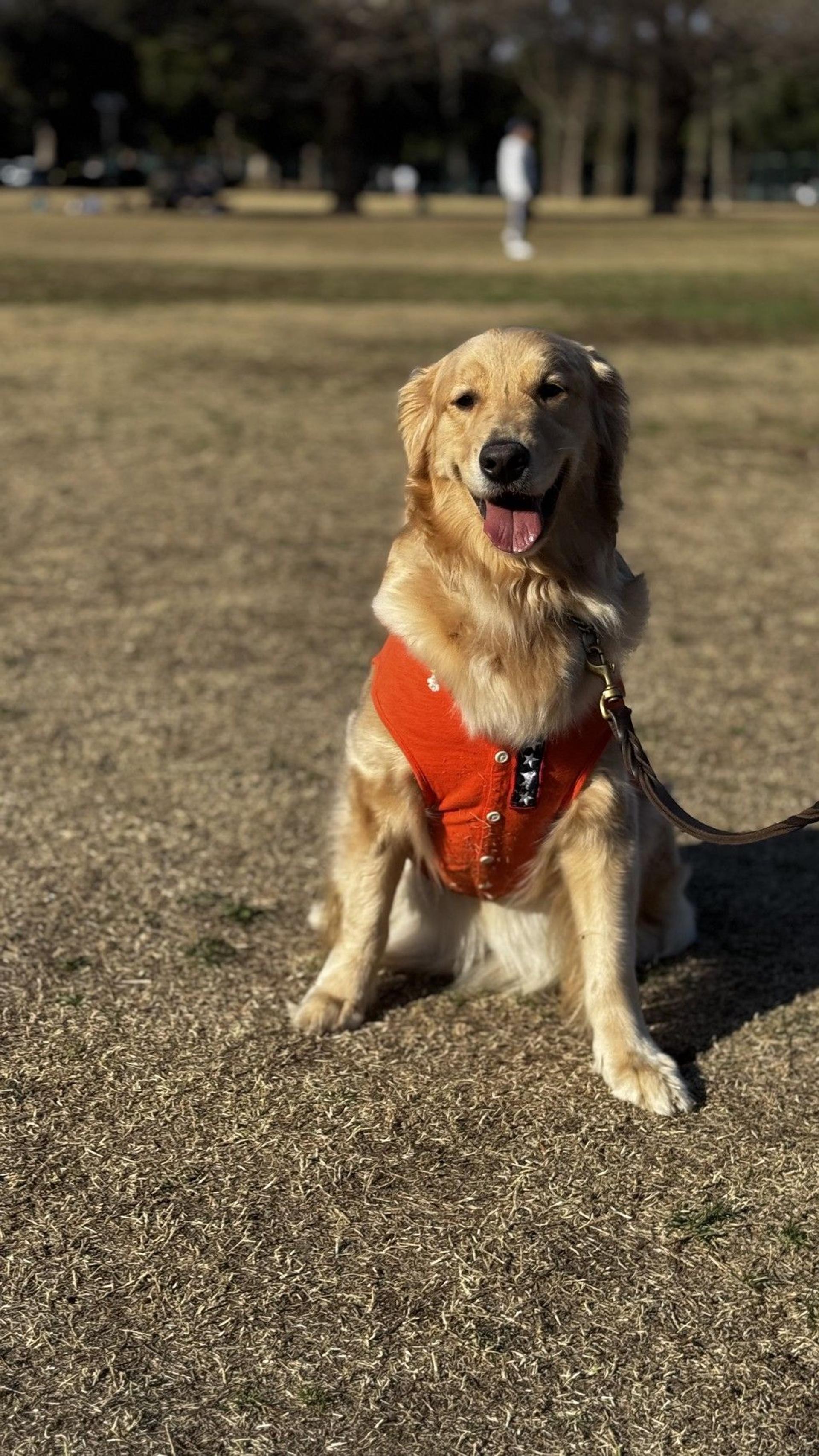 pet-image-3