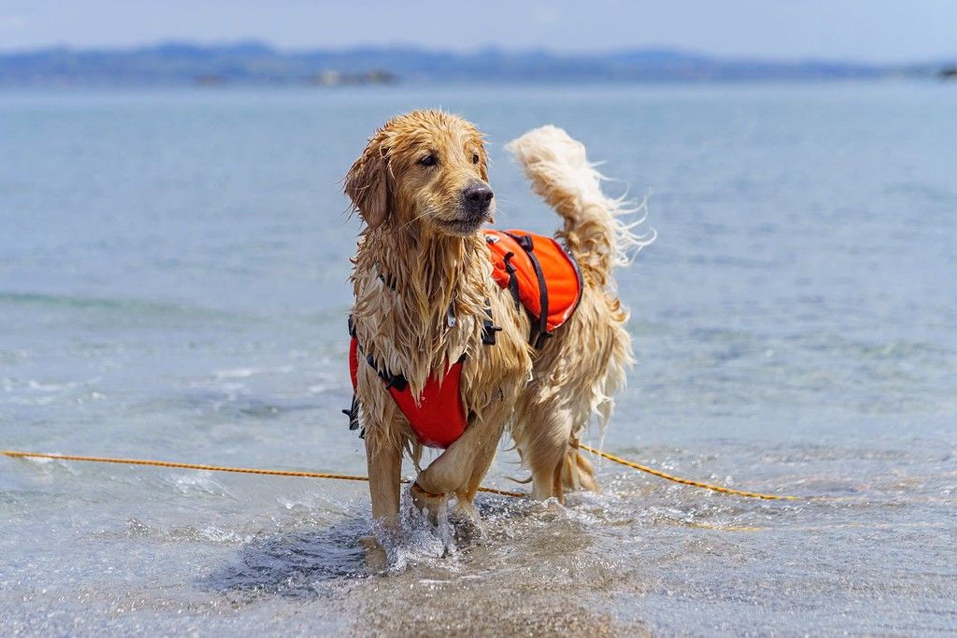 thumbnail-5