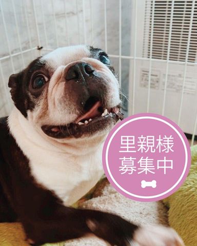 ピラフ