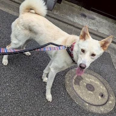 はじめ