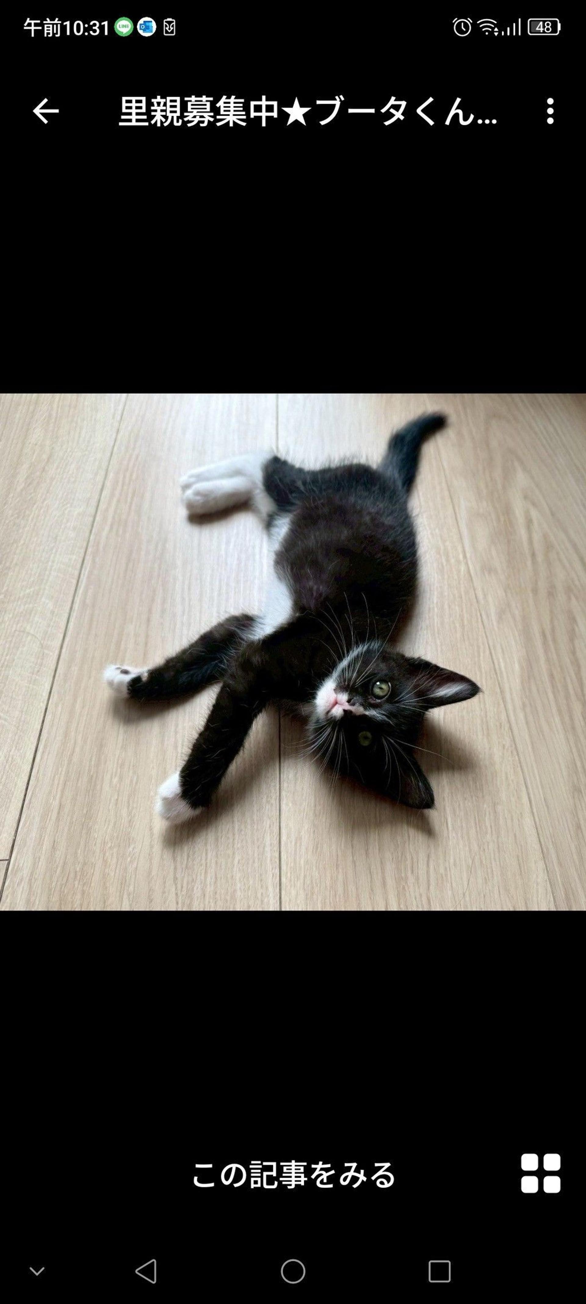 pet-image-2