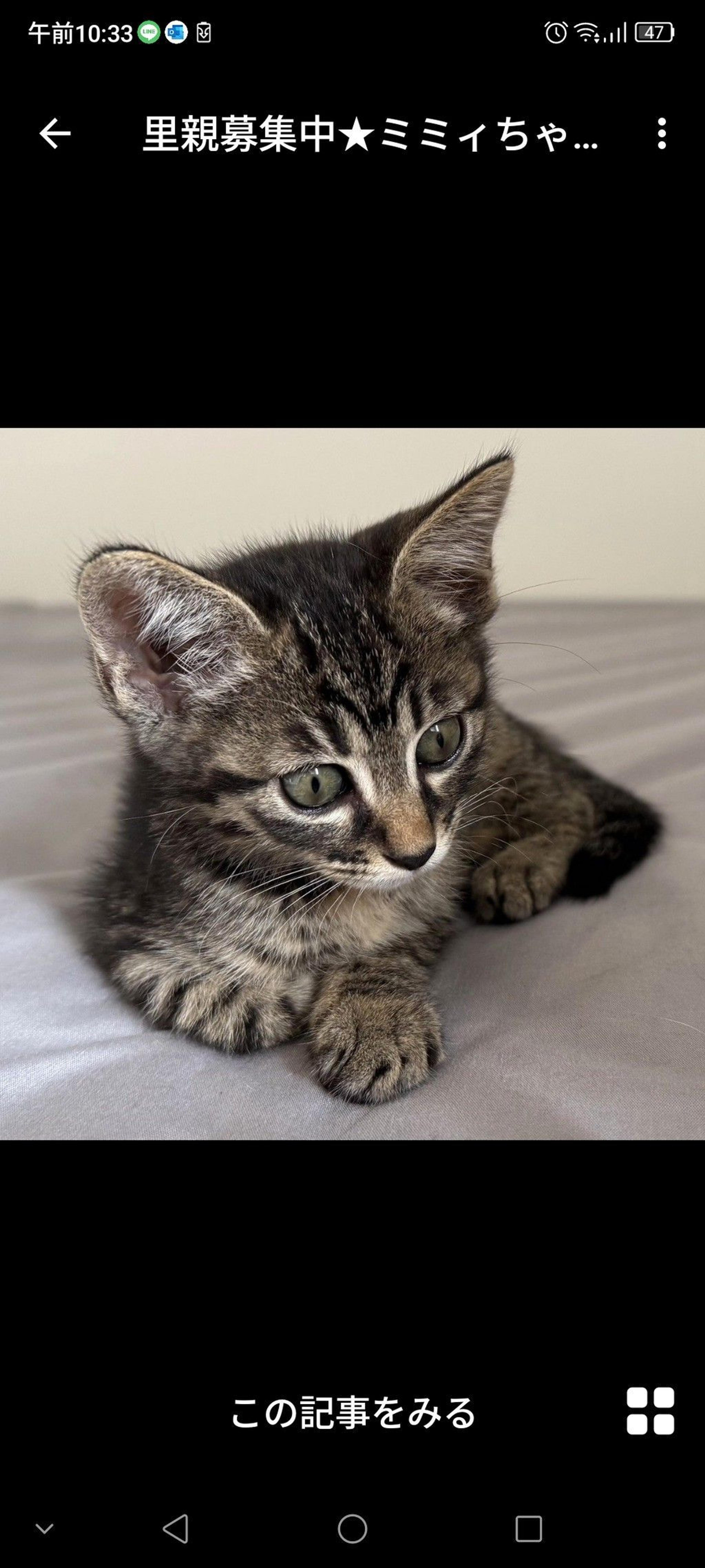 pet-image-2