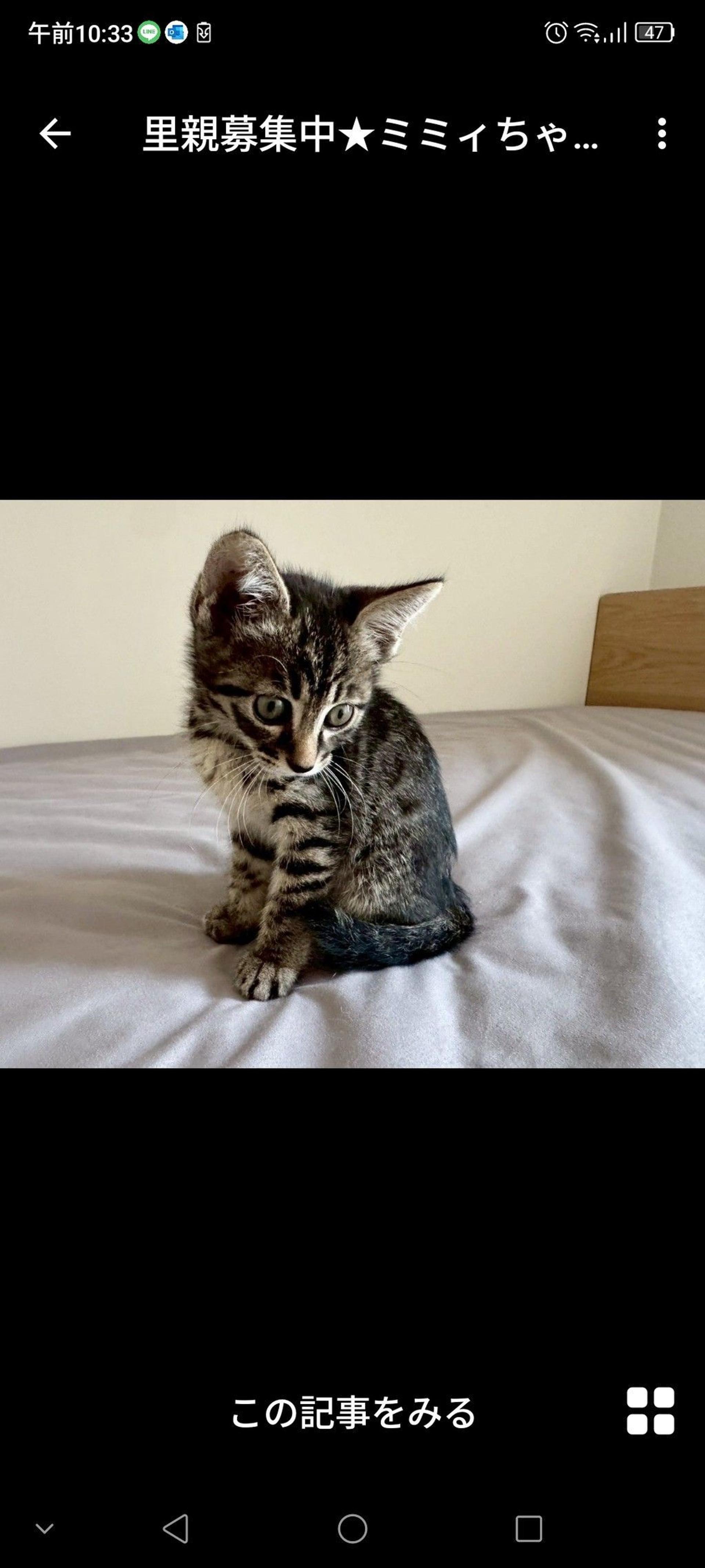 pet-image-3