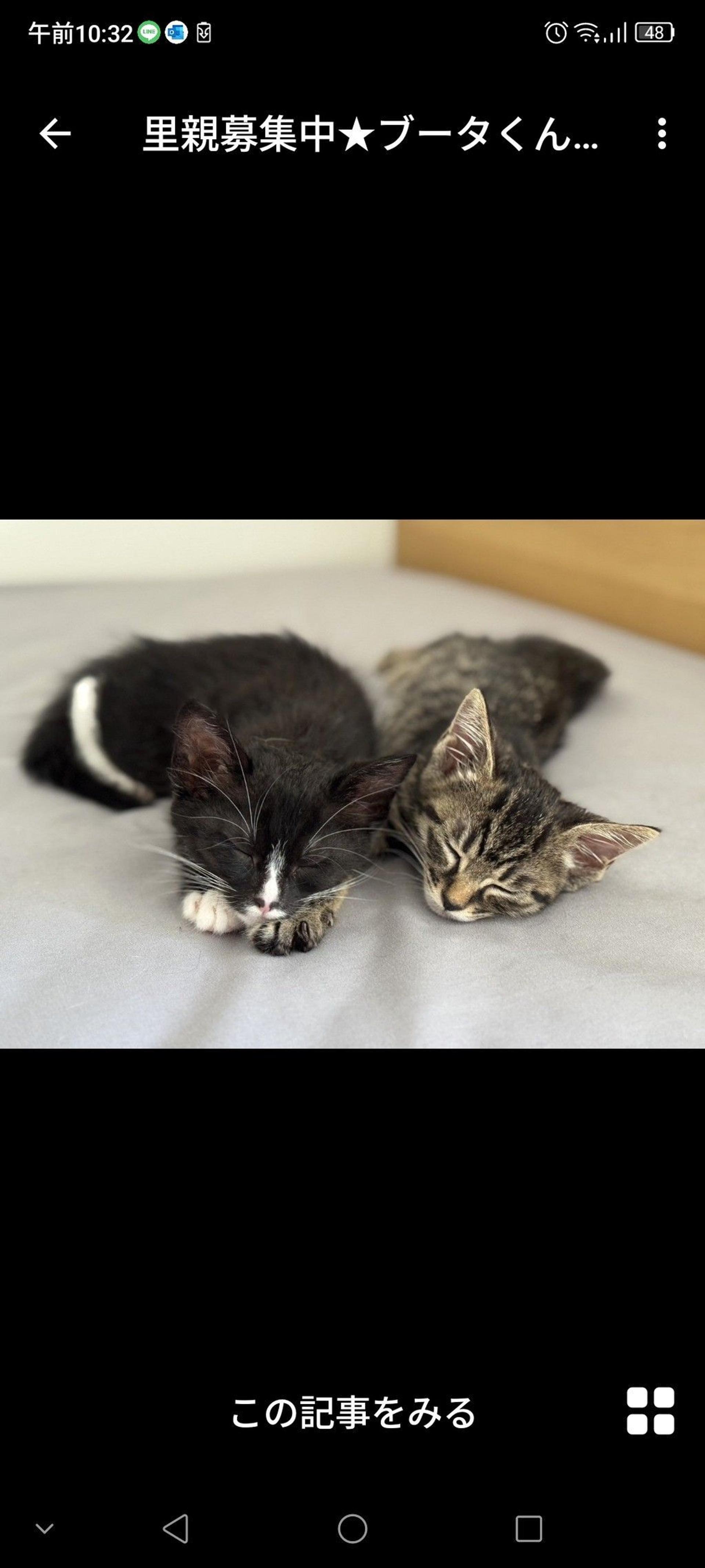 pet-image-4