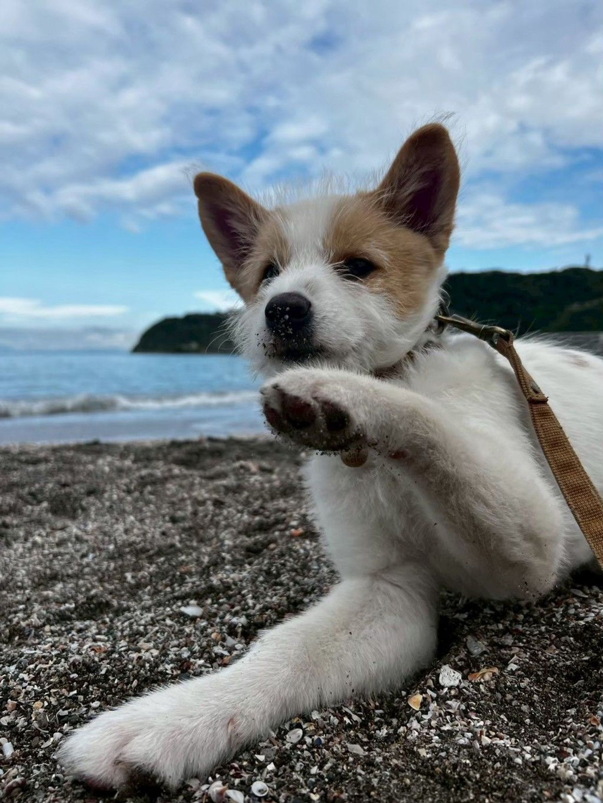 thumbnail-5