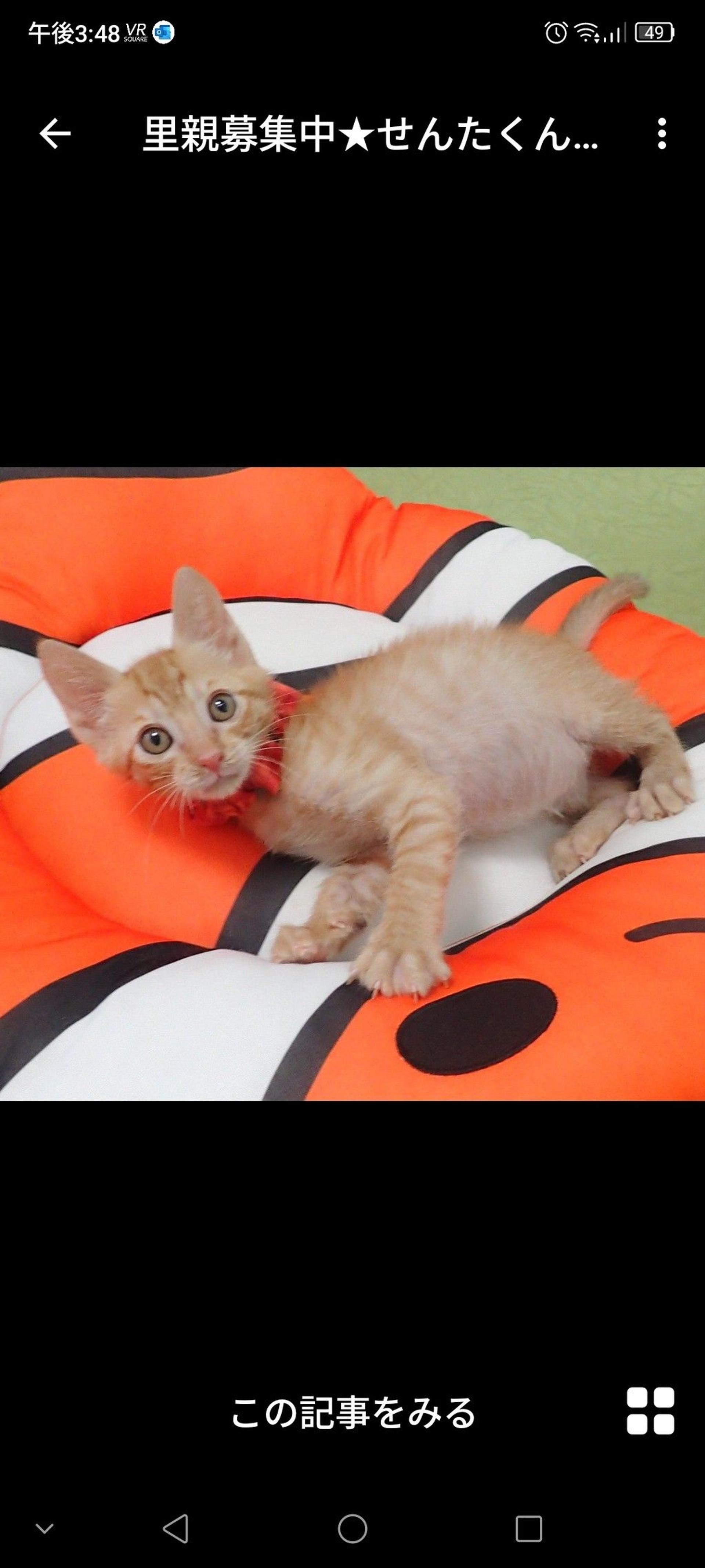 pet-image-3