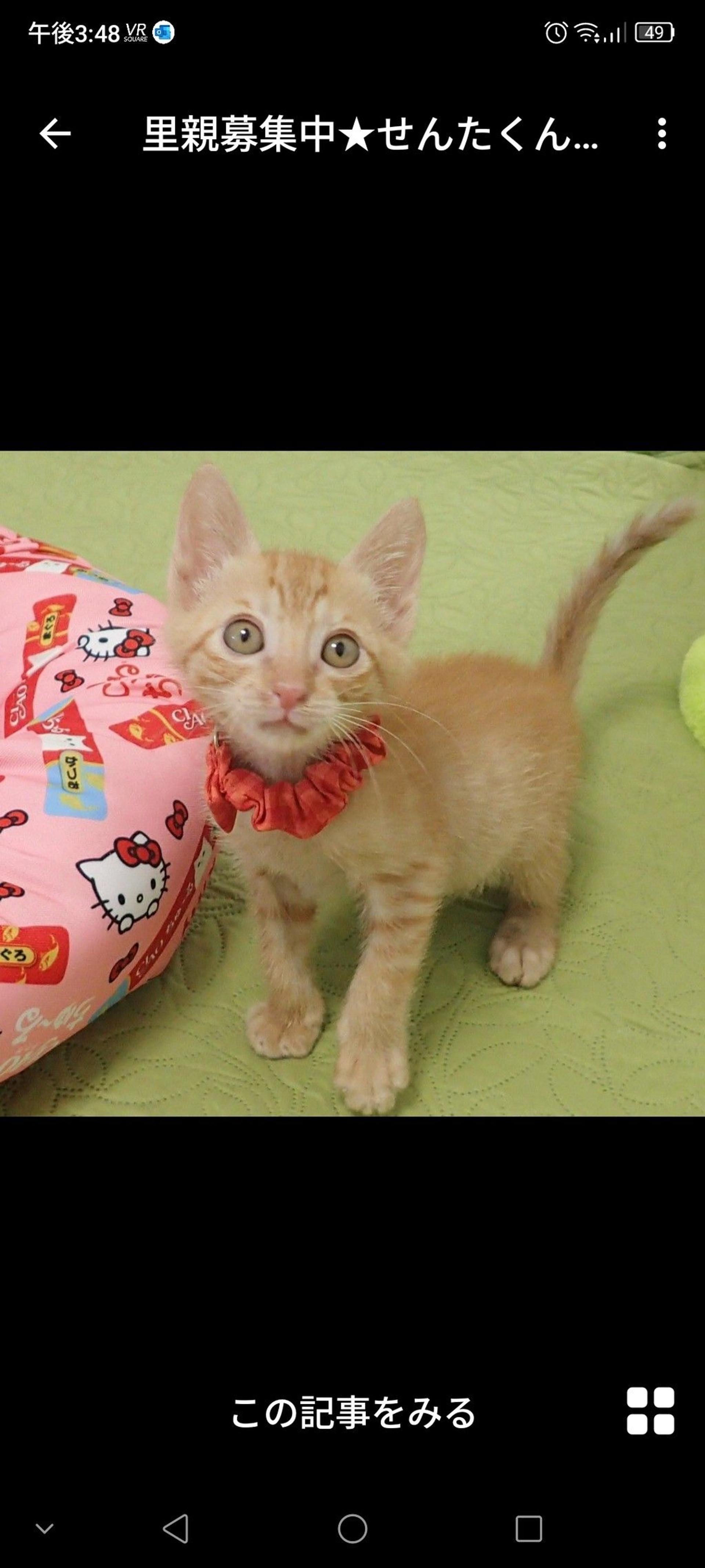 pet-image-2