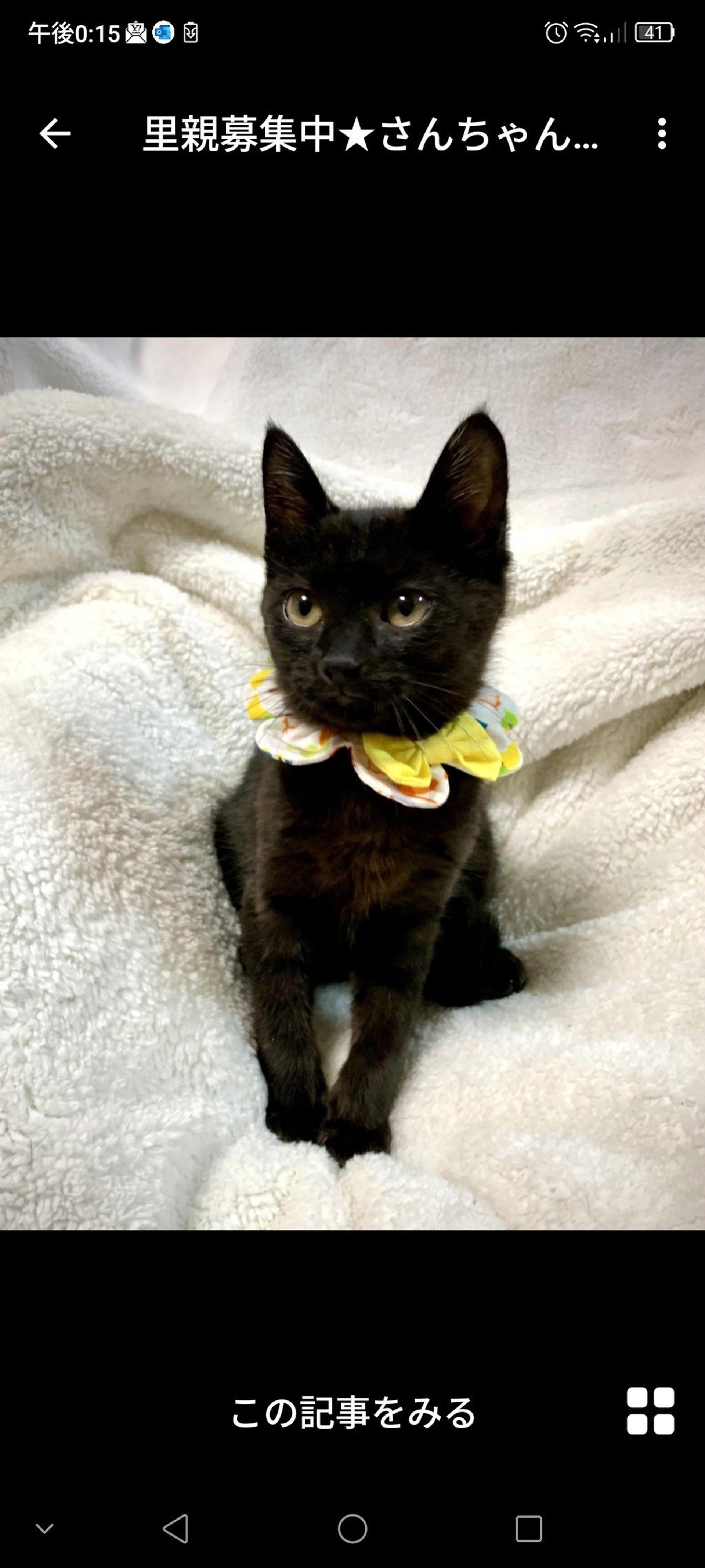pet-image-3