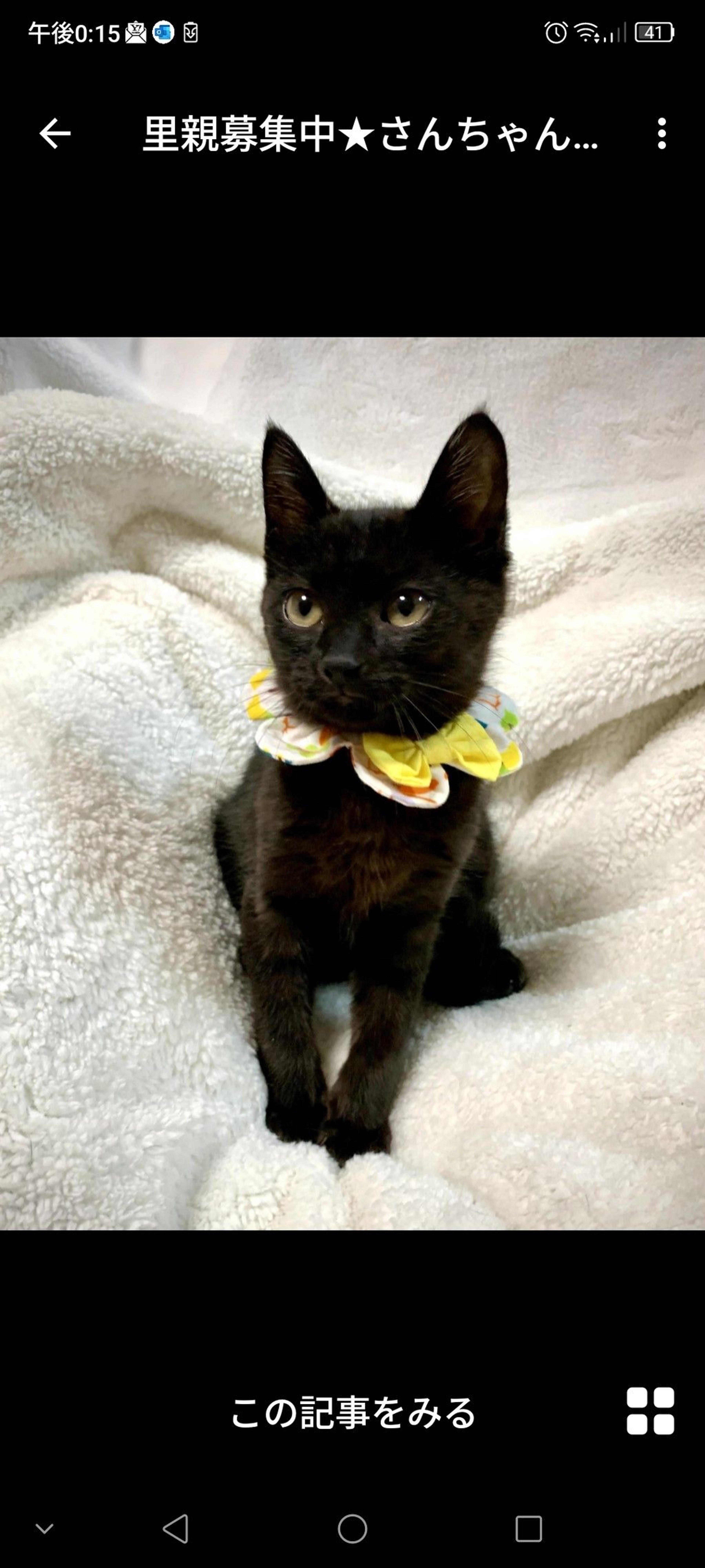 pet-image-3