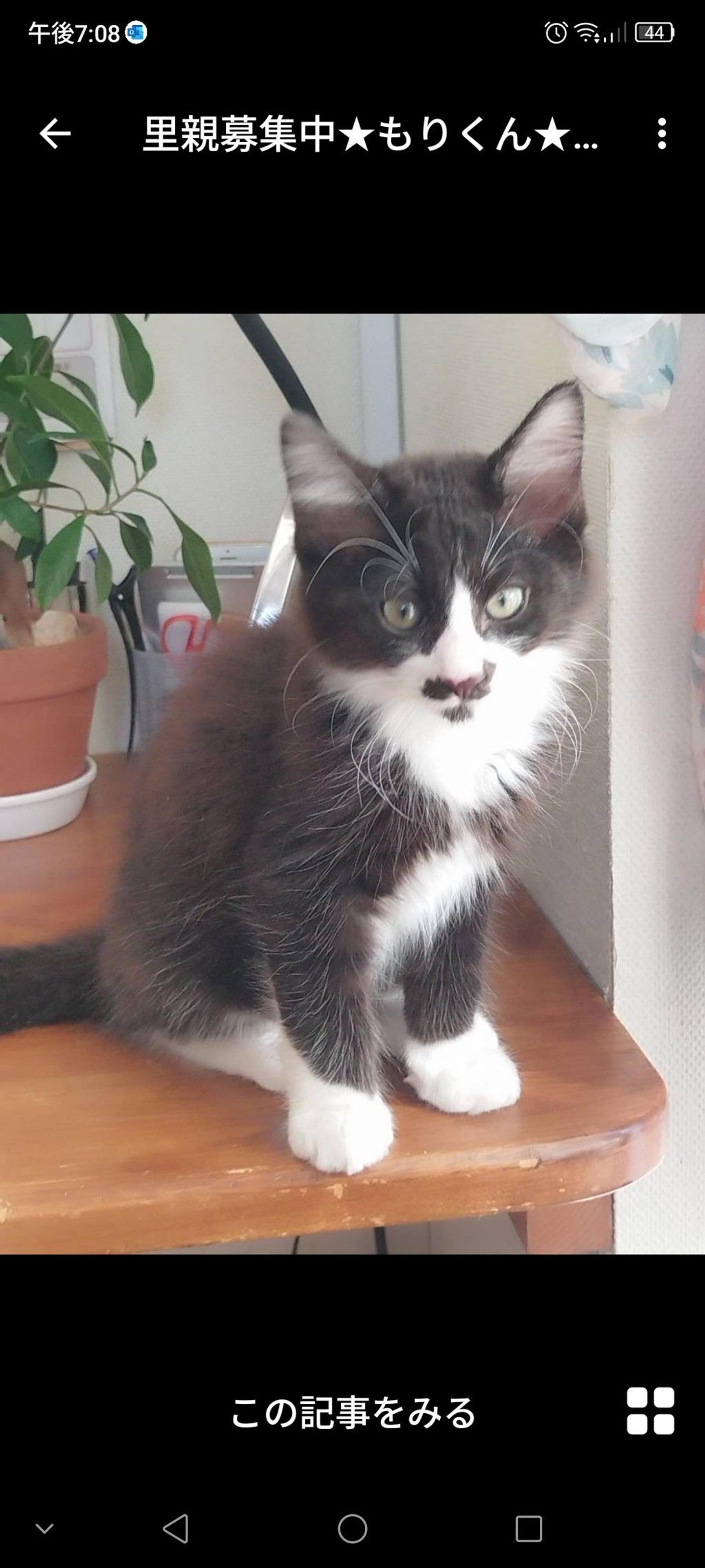 pet-image-3