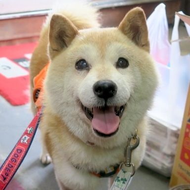 サム