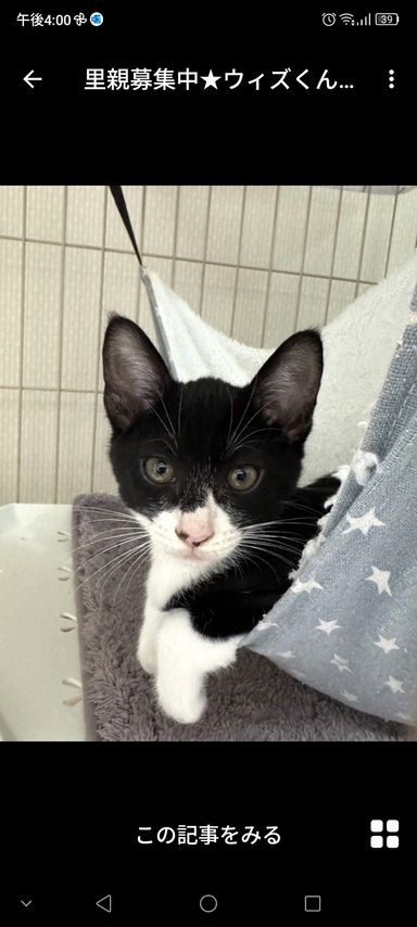 ウィズくん