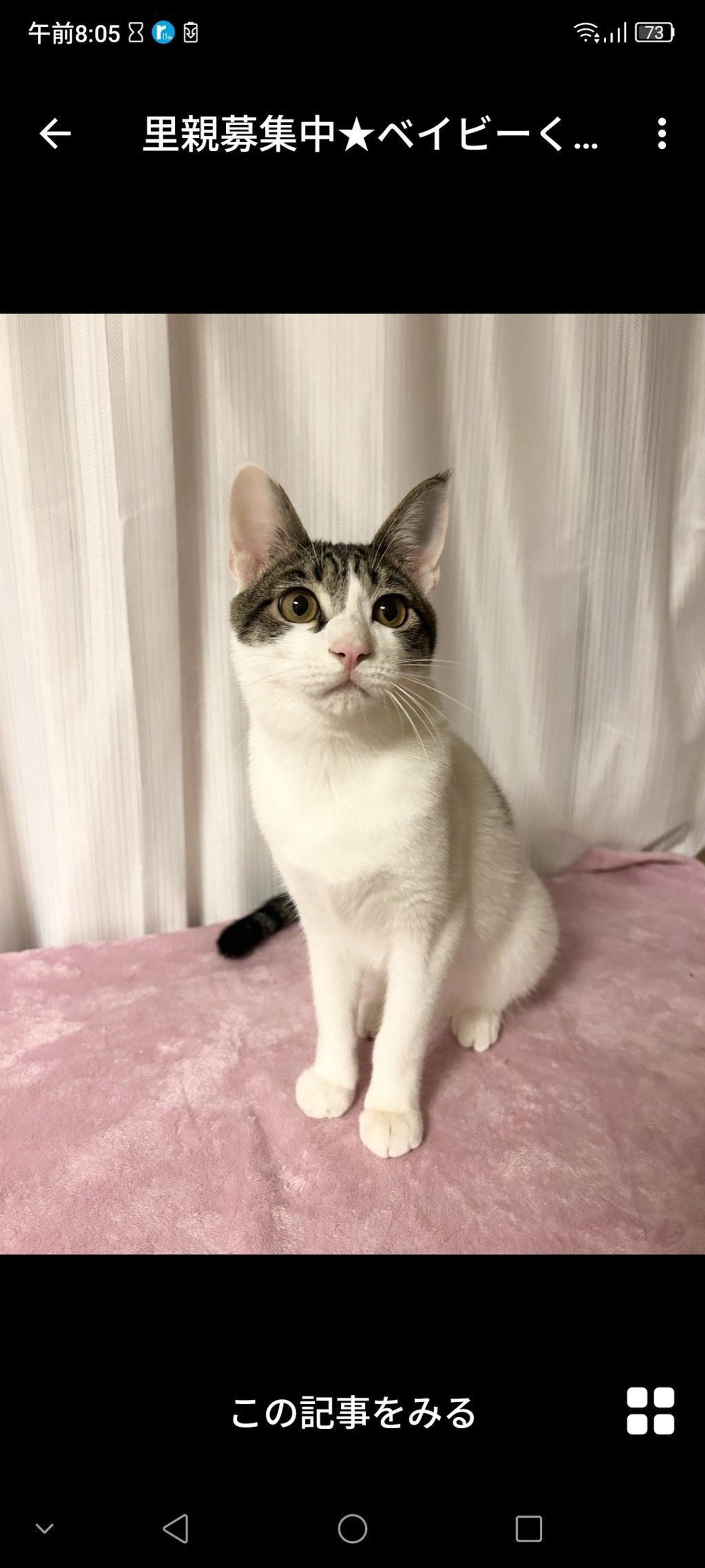 pet-image-2