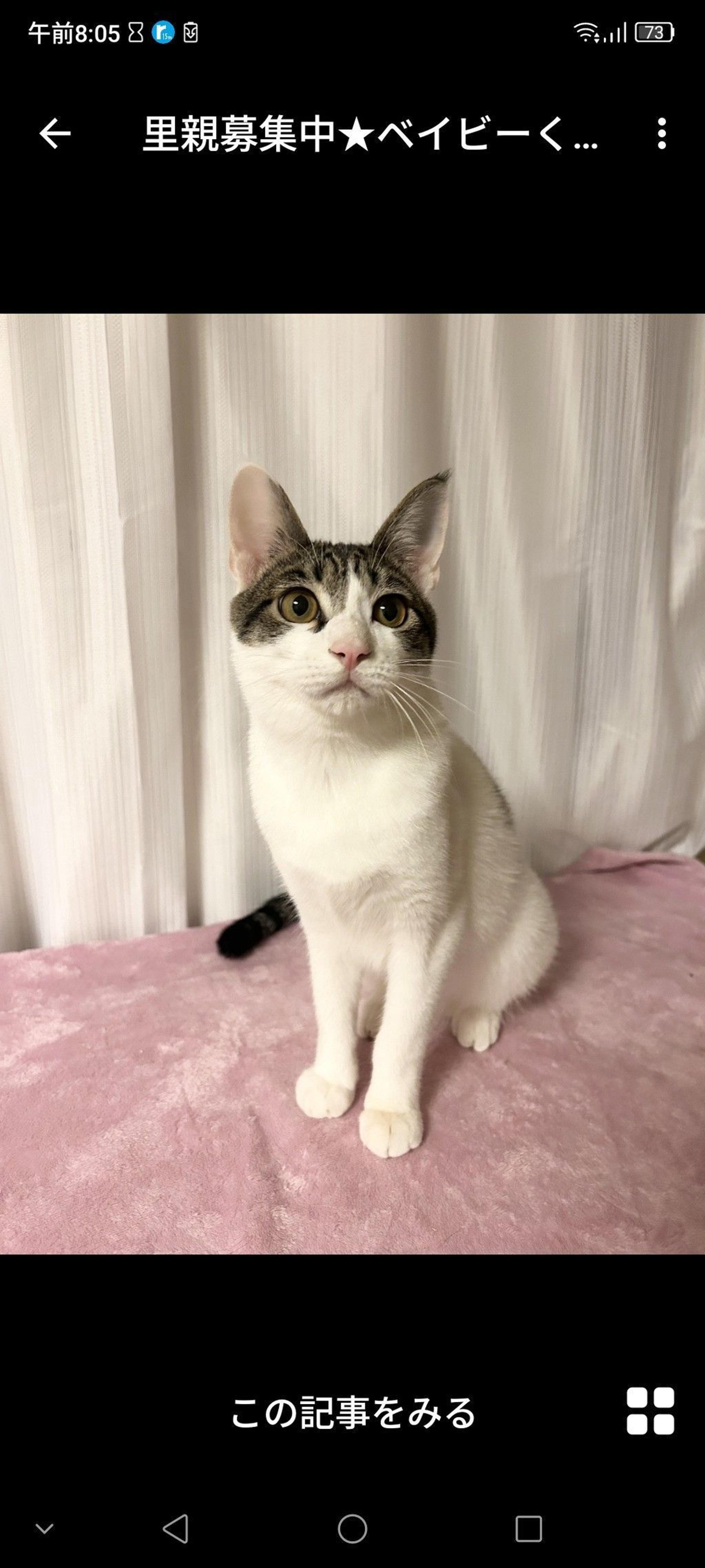 pet-image-2