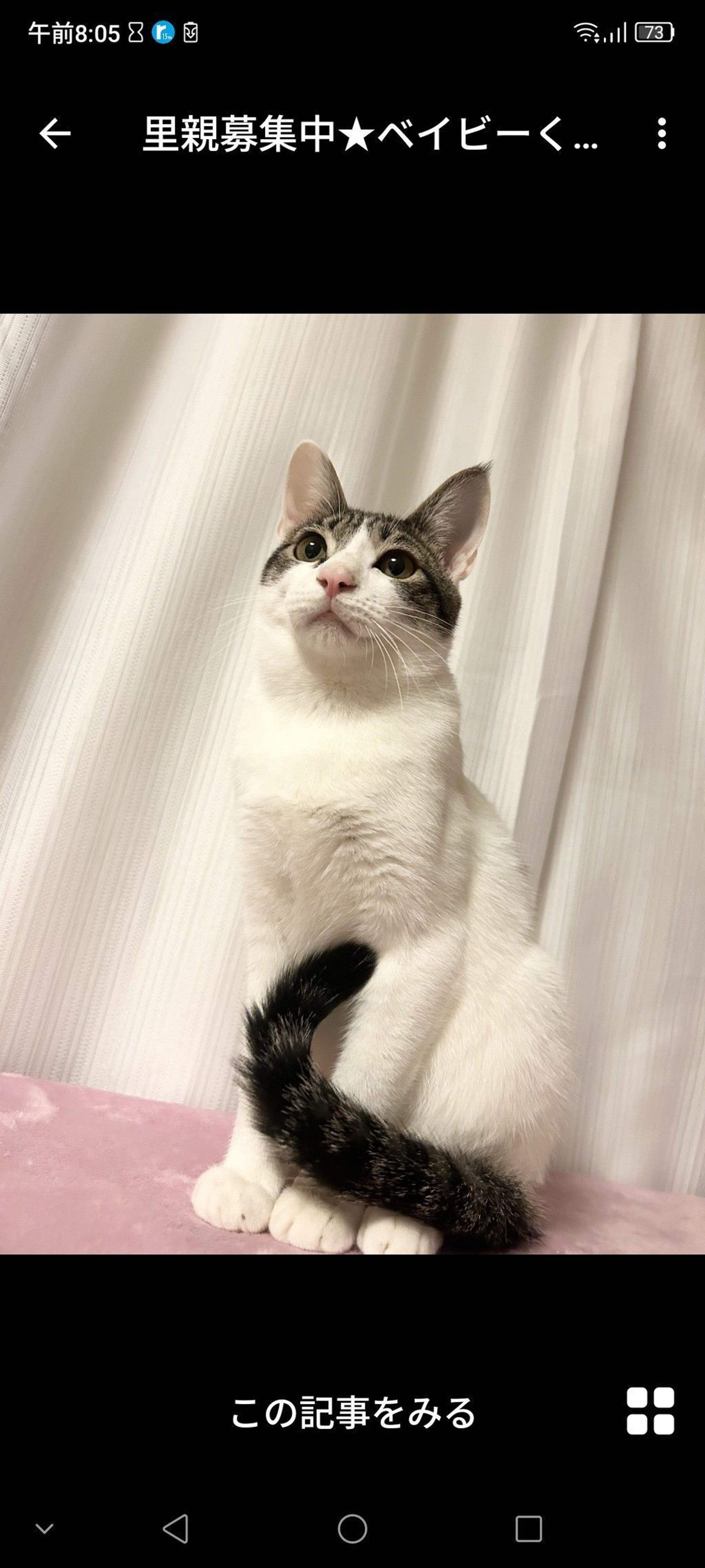 pet-image-3