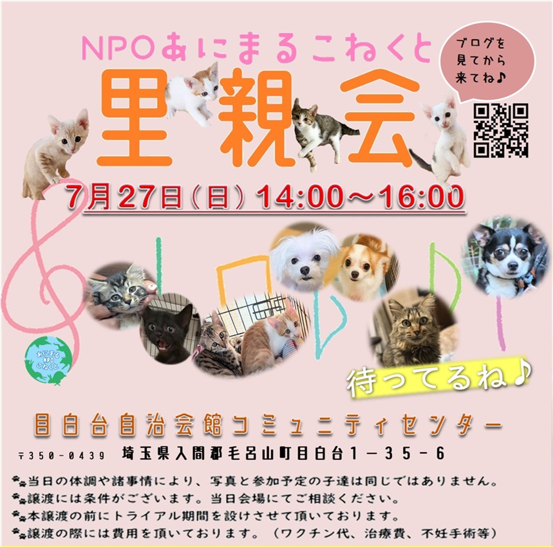 pet-image-5