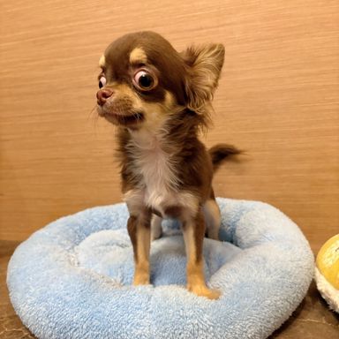 エアロ
