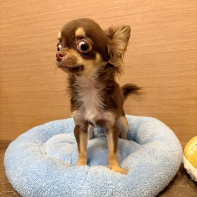 エアロ