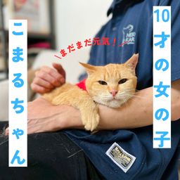 thumb-1